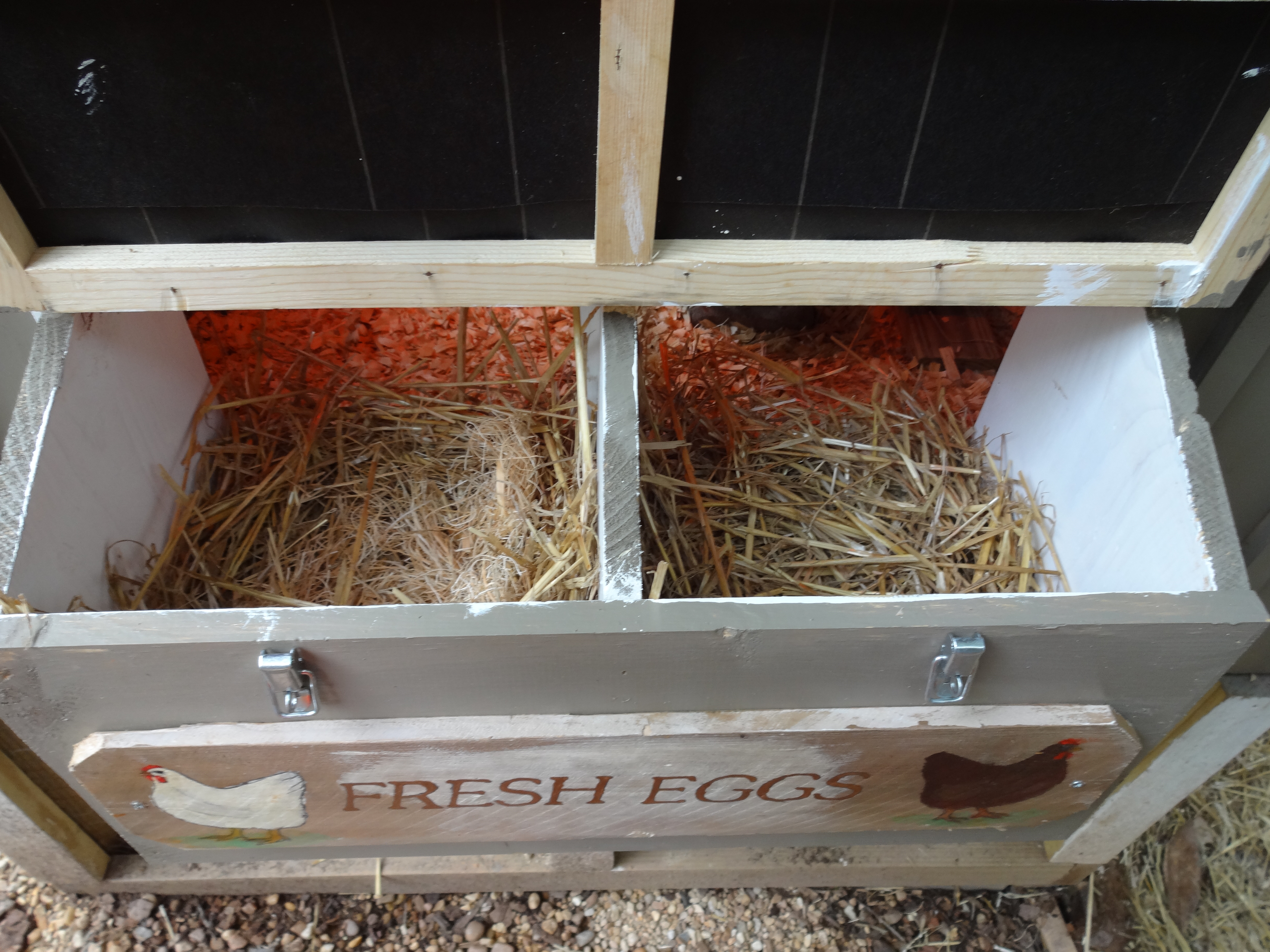 Handmade sign on the eggbox.