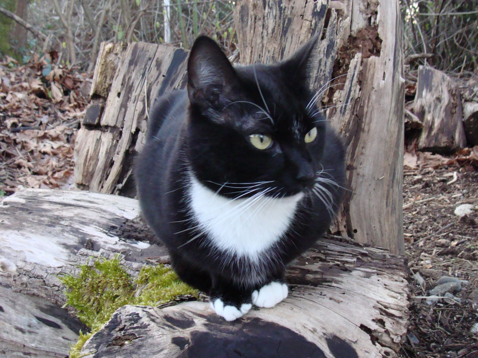 Handsome boy.
