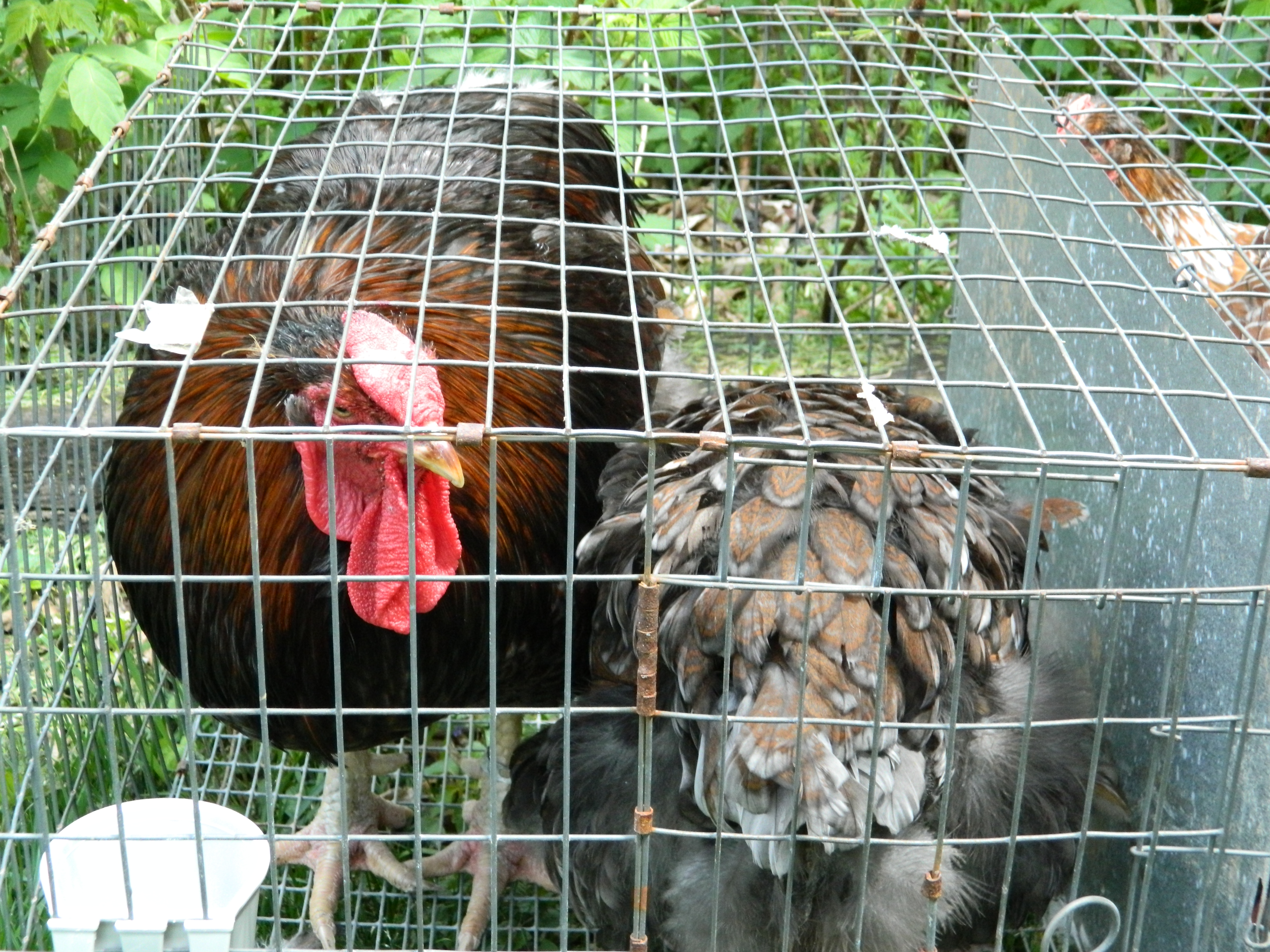 Handsome dude and his lady.