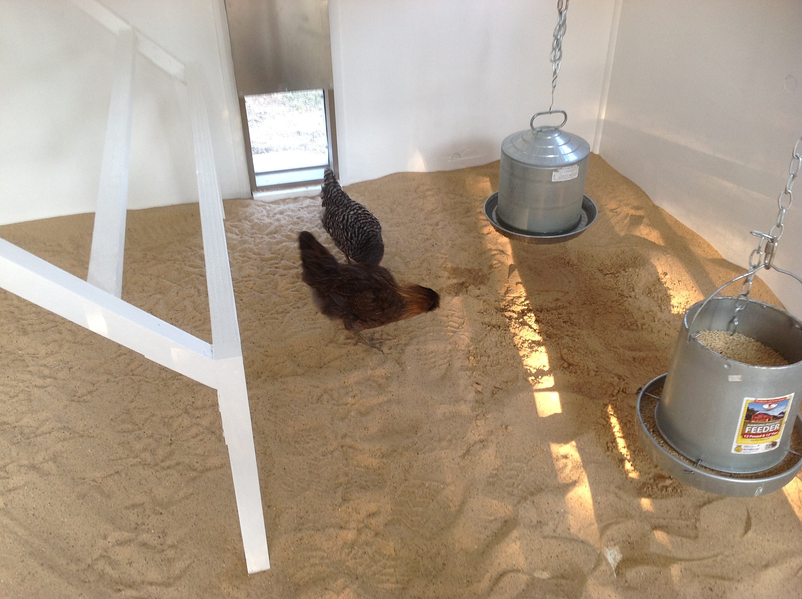 Hanging feed and water inside roosting area.  Also have automatic water outside in fenced coop area.
