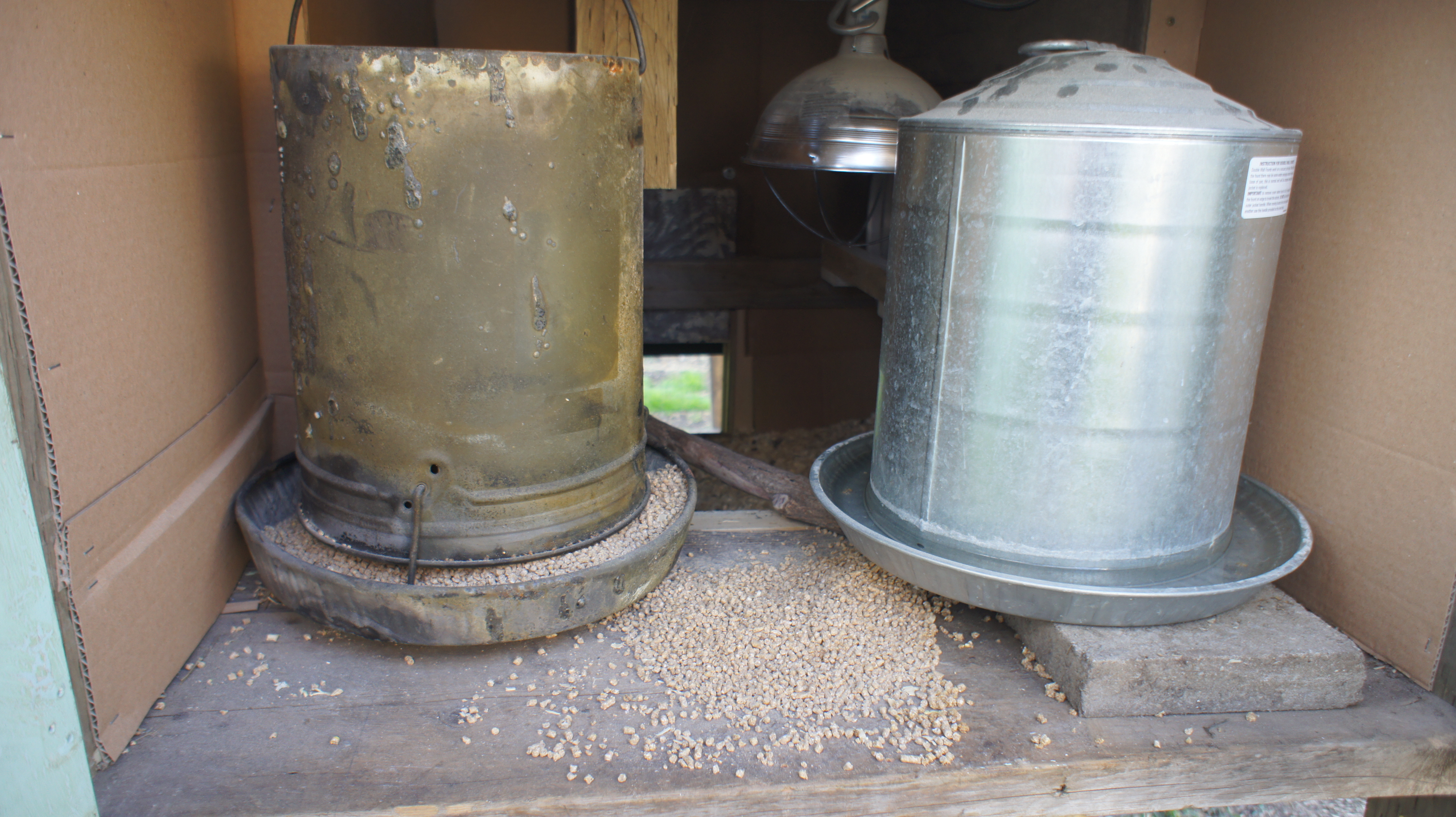 Hanging feeder and water. Too cold in the winter to have the chicken nipples.