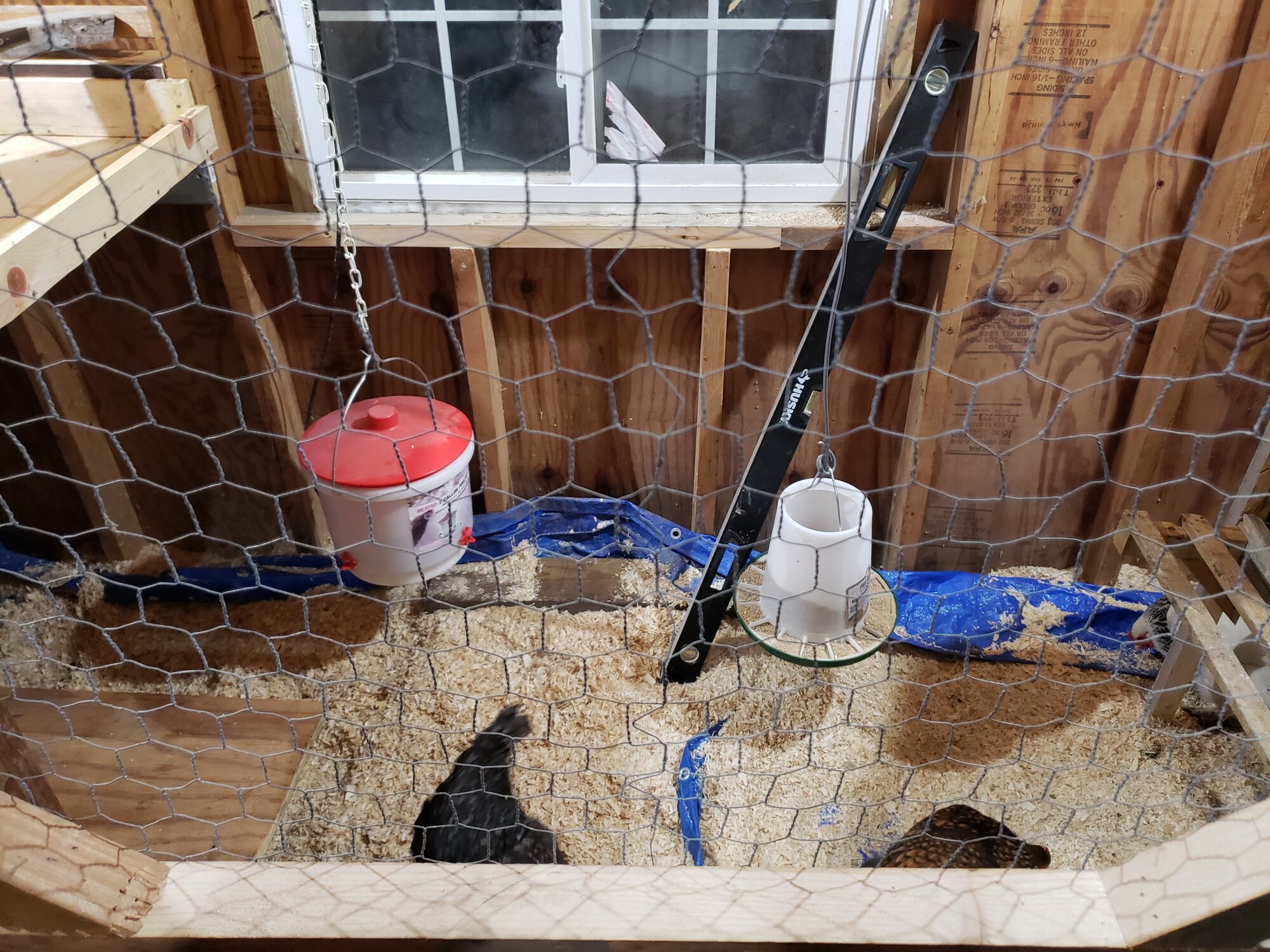 hanging feeder and waterer - shed coop build
