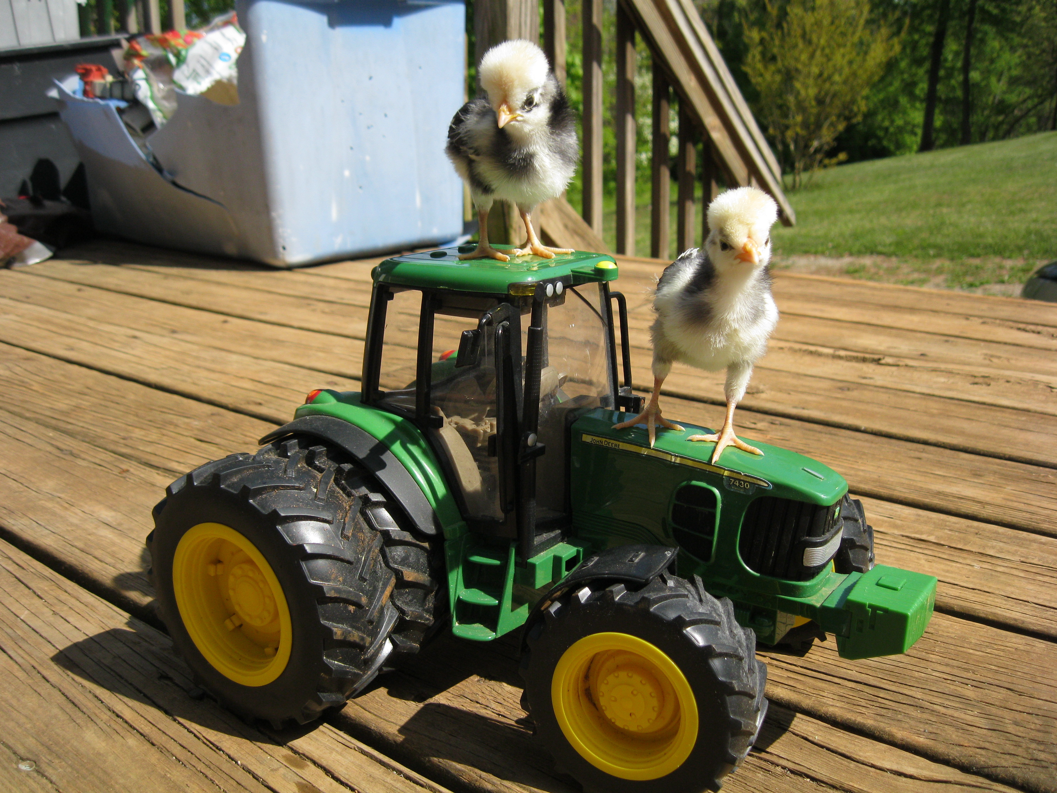 Hanging on the deere