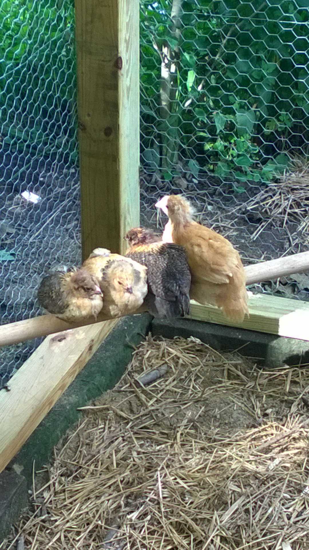 Hanging out - August 2015