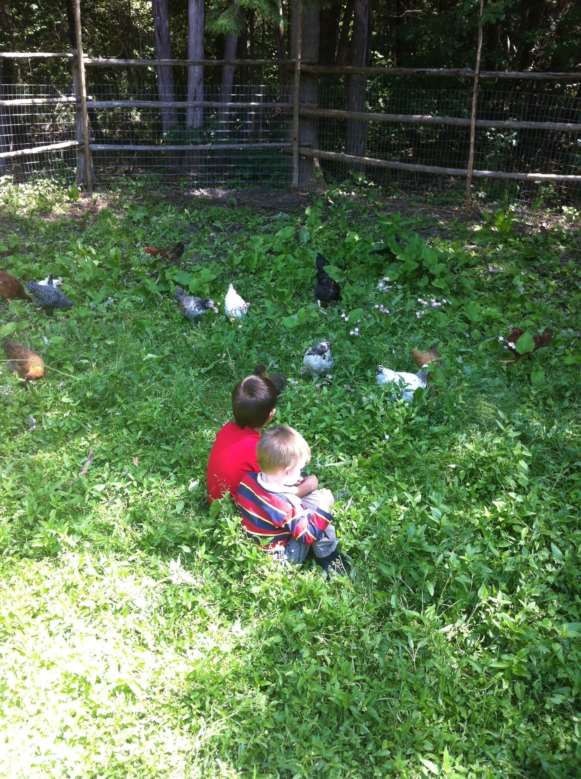 Hanging out in the yard