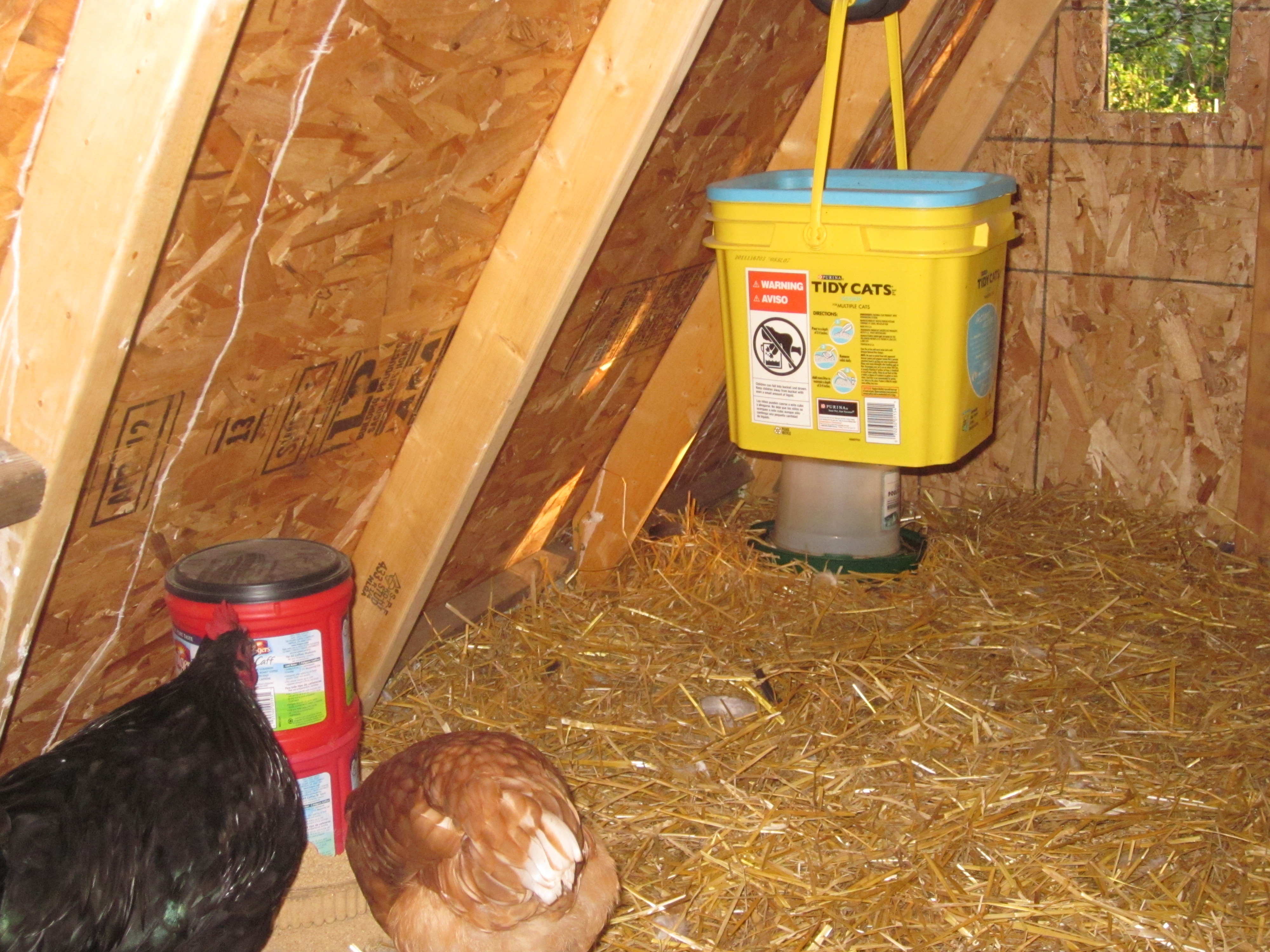 Hanging waterer with 4 push in nipples on bottom.  The bucket holds about 3 1/2 gallons.  This stays in the coop but I still keep a 1 gallon and a 1 quart out in their pen during the day.