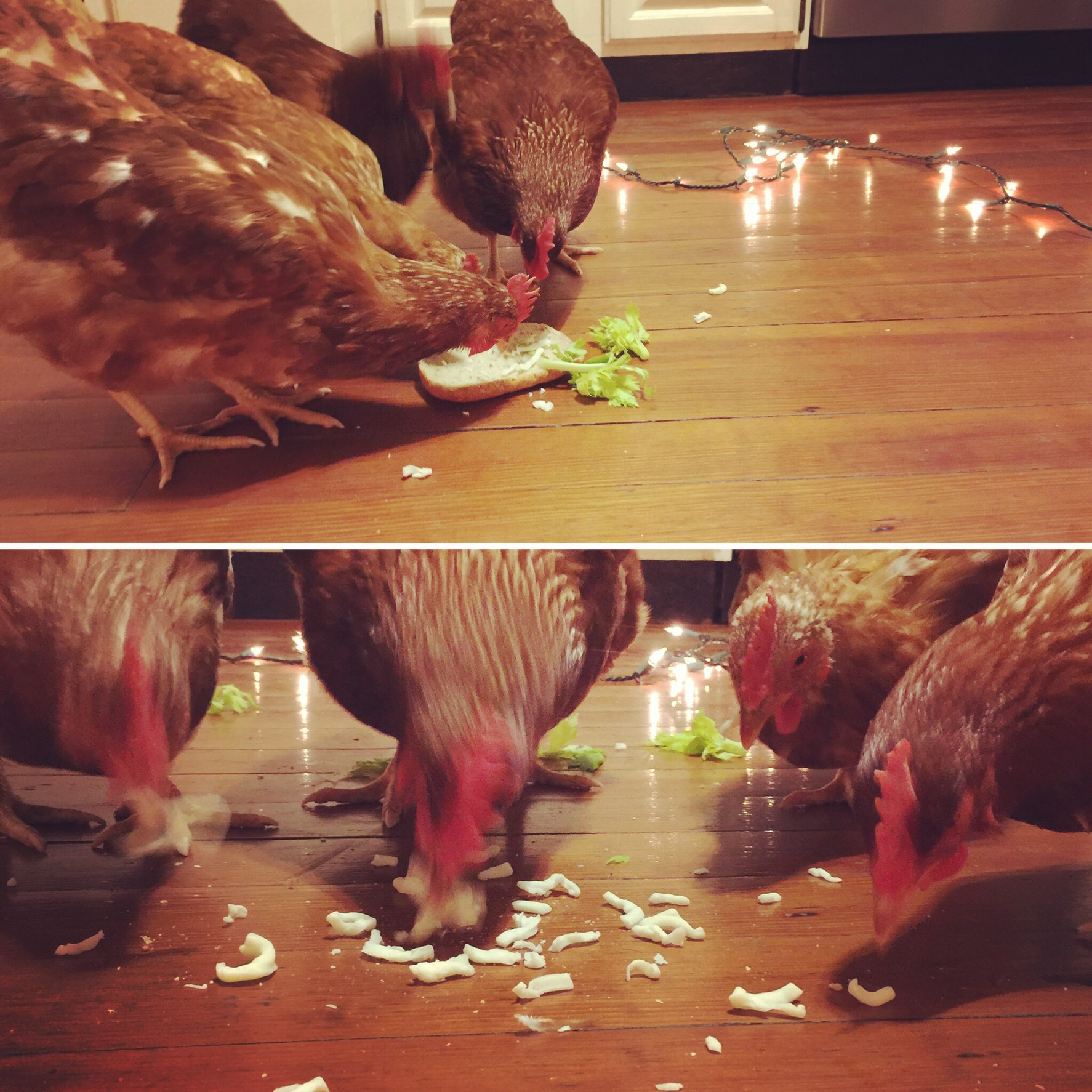 Happy Birthday Bawkas!!