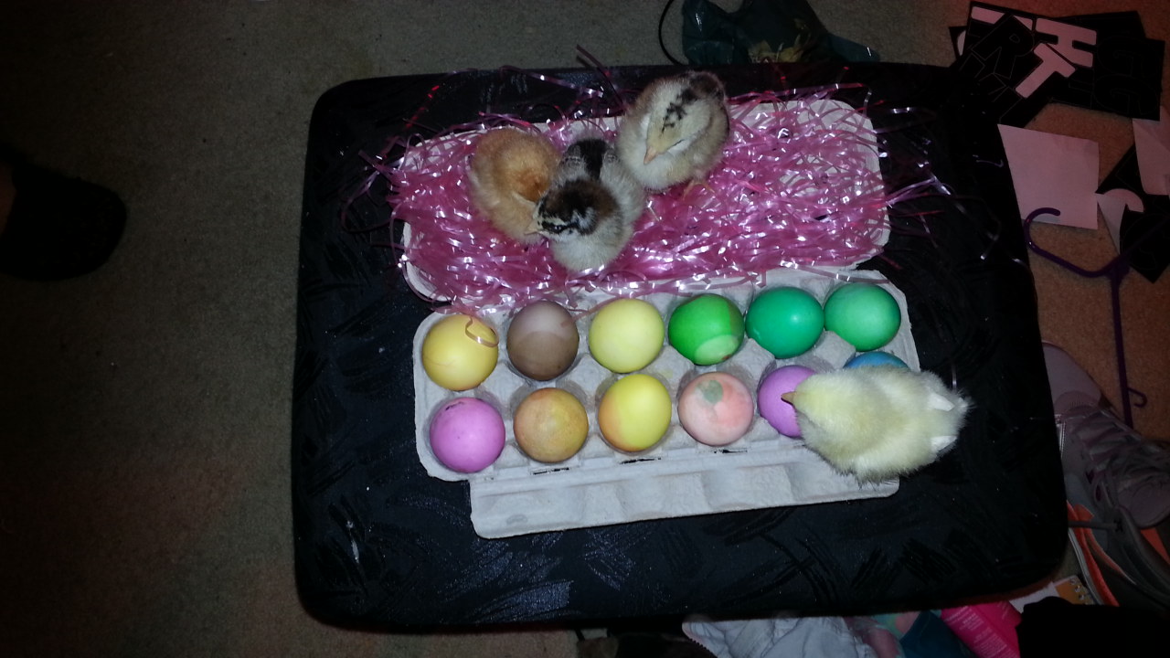Happy Easter!