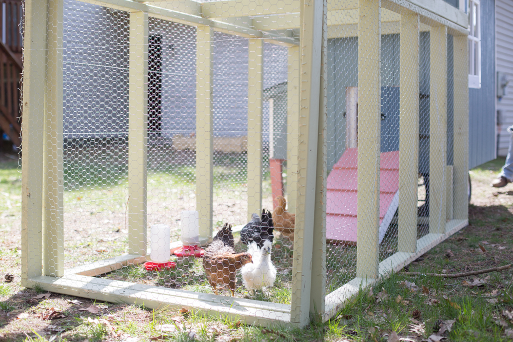 happy ladies, happy flock mama!