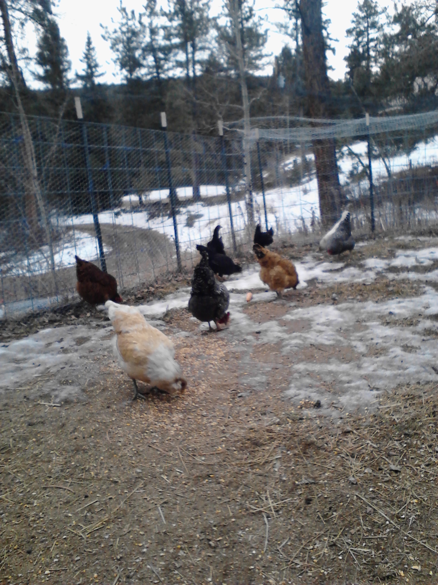 Happy to be back outside