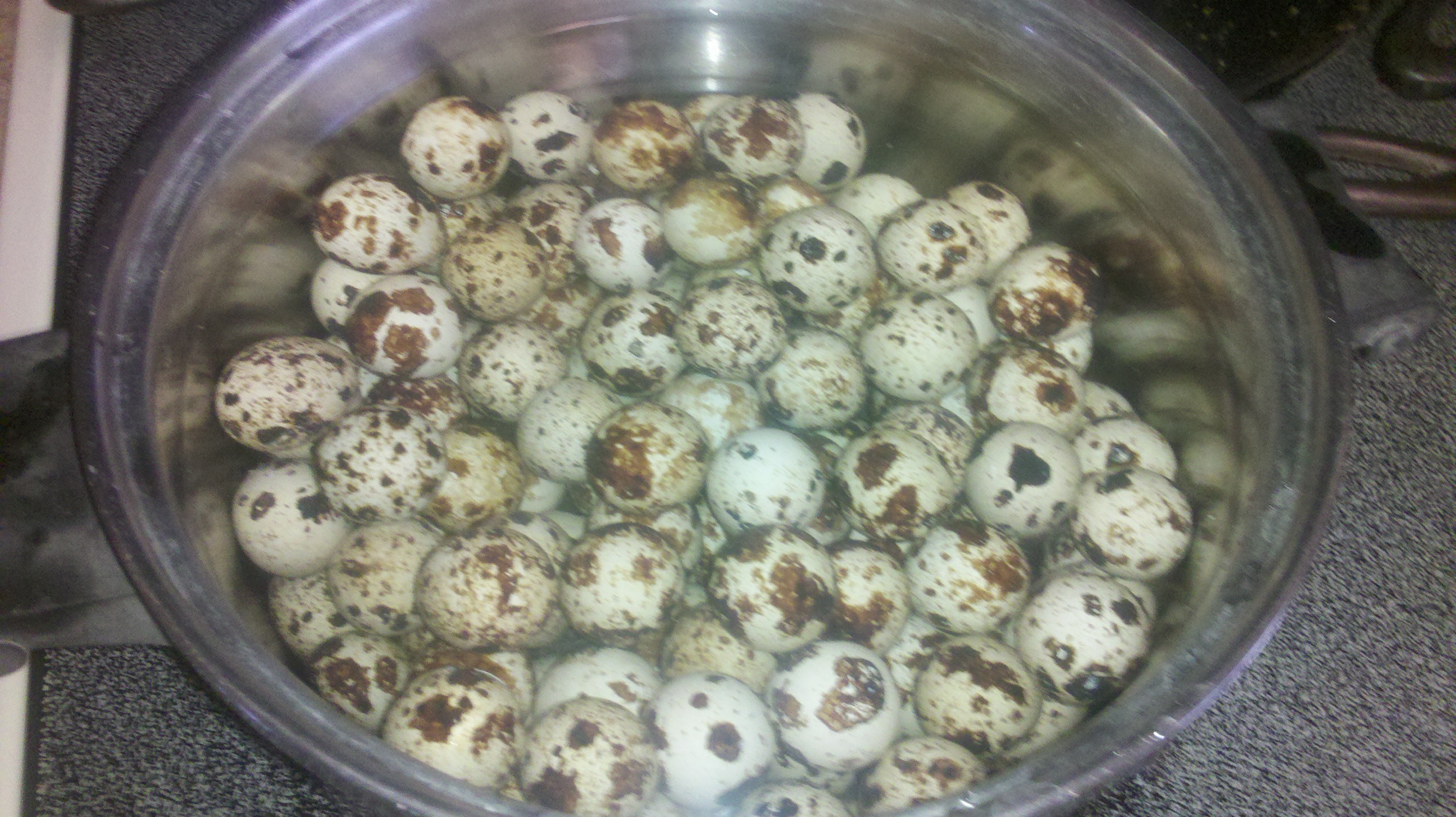hard bioled quail eggs
