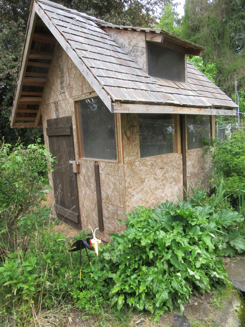 Hardware cloth covers the dormer ventilation widow. Plexi glass windows allows natural light with no fear of breakage. Cedar shingle roof is rustic and durable. Now to paint.
