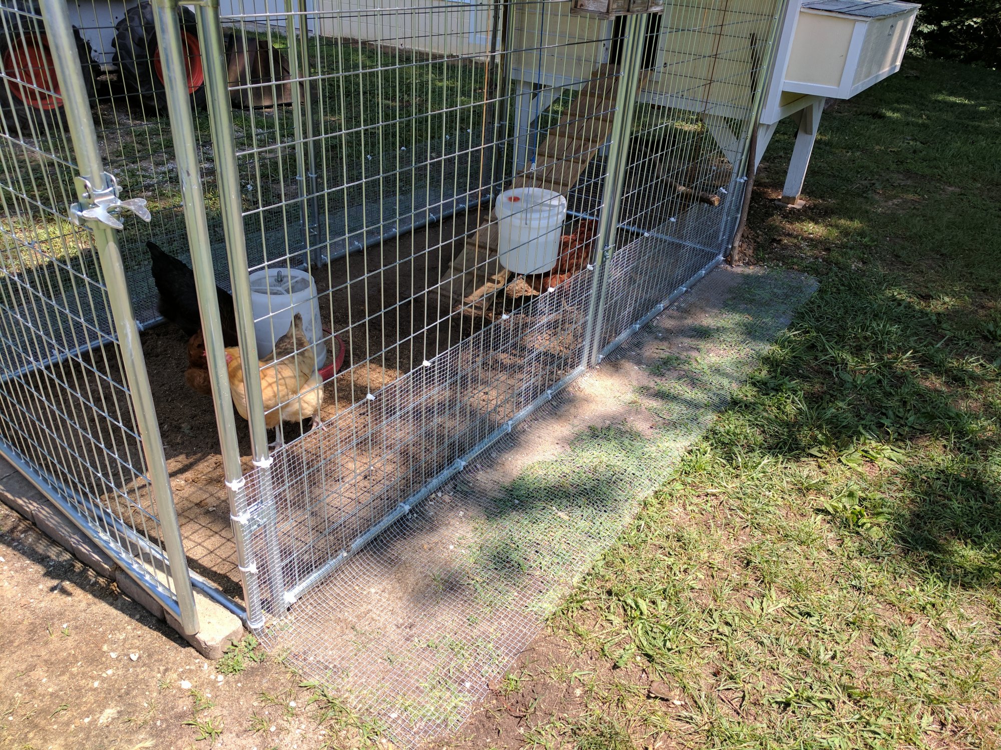 Hardware cloth installation to deter digging predators.