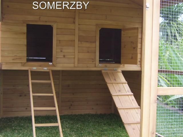 Has both a ladder and a ramp for easy access..