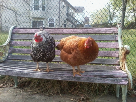 Have a seat!