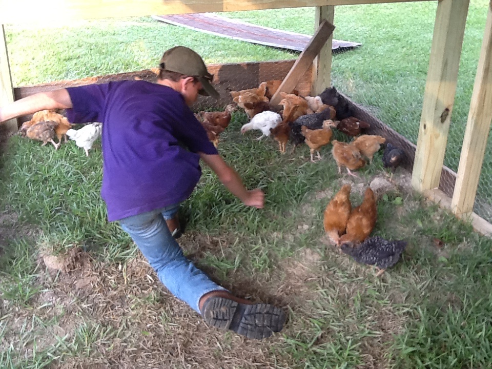 He found a screw that was dropped......don't want them trying to eat that