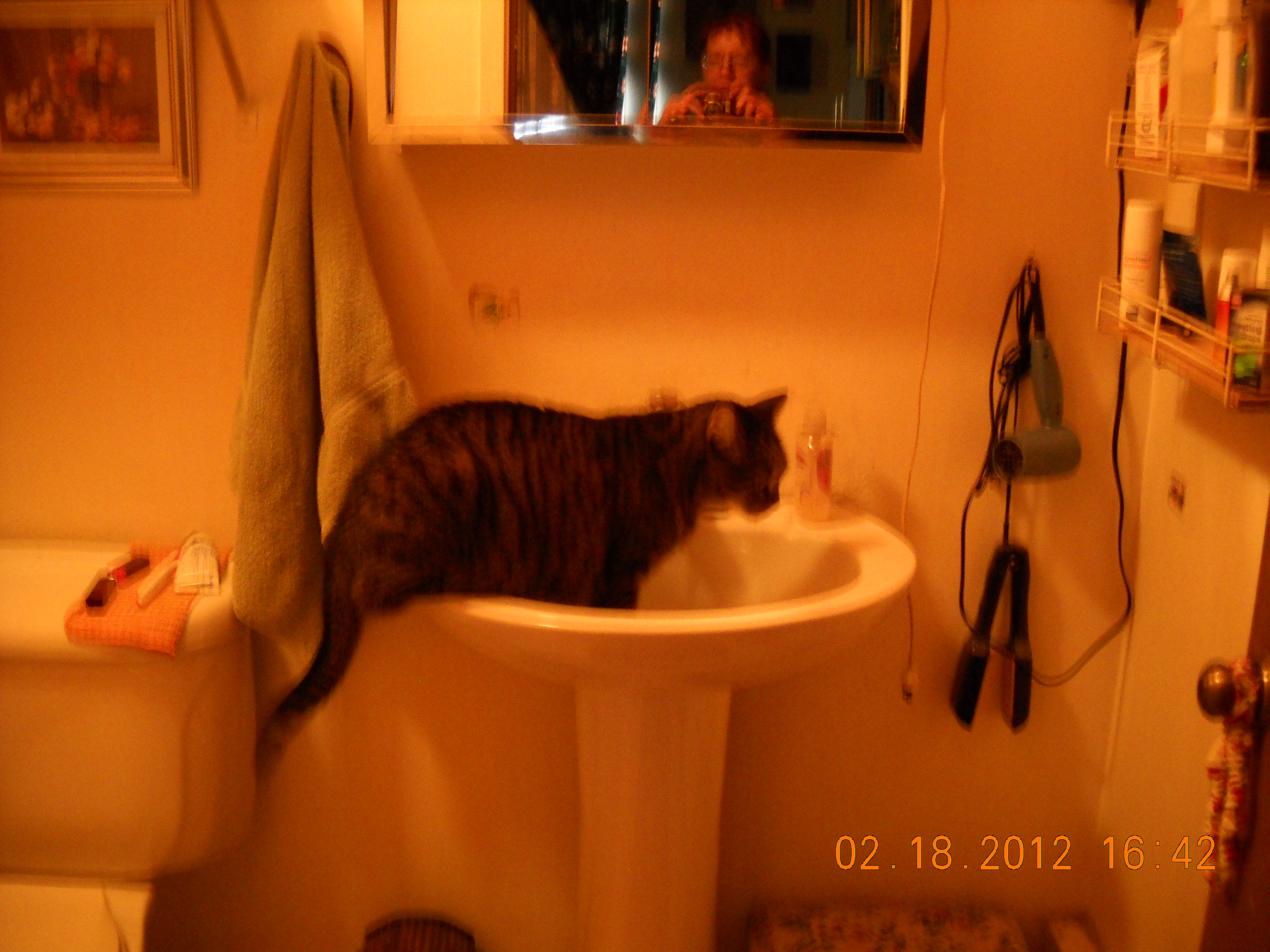 He likes fresh water.