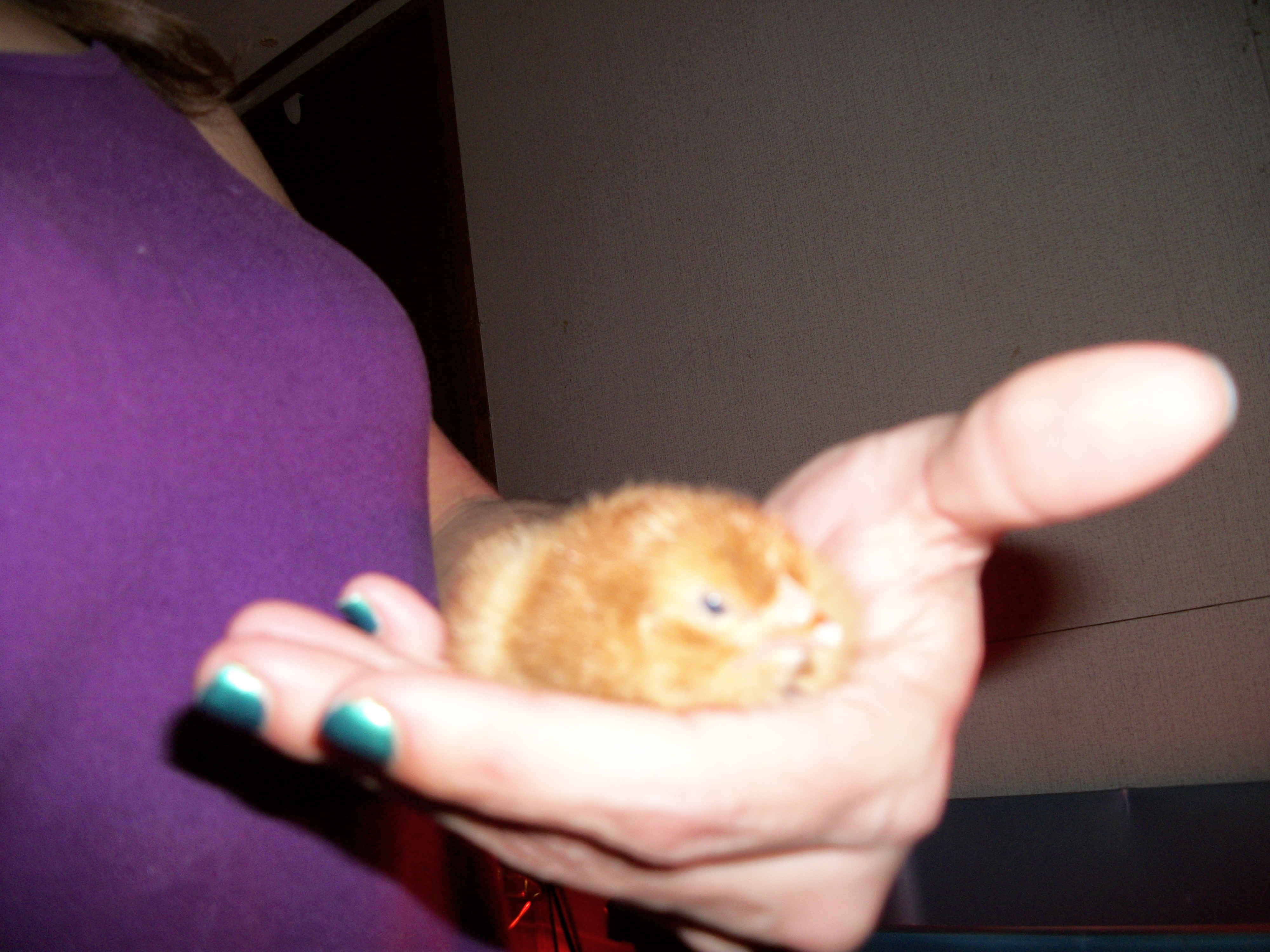 He/She was tired! 1st day in this world!!!