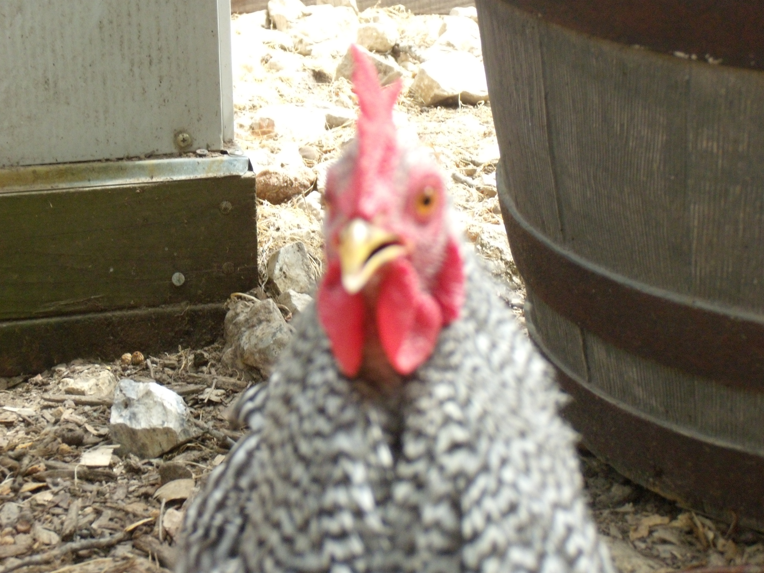 He was really interested in the camera.