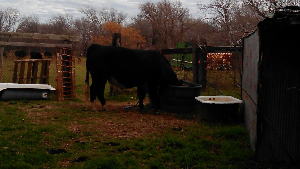 He was really thirsty.