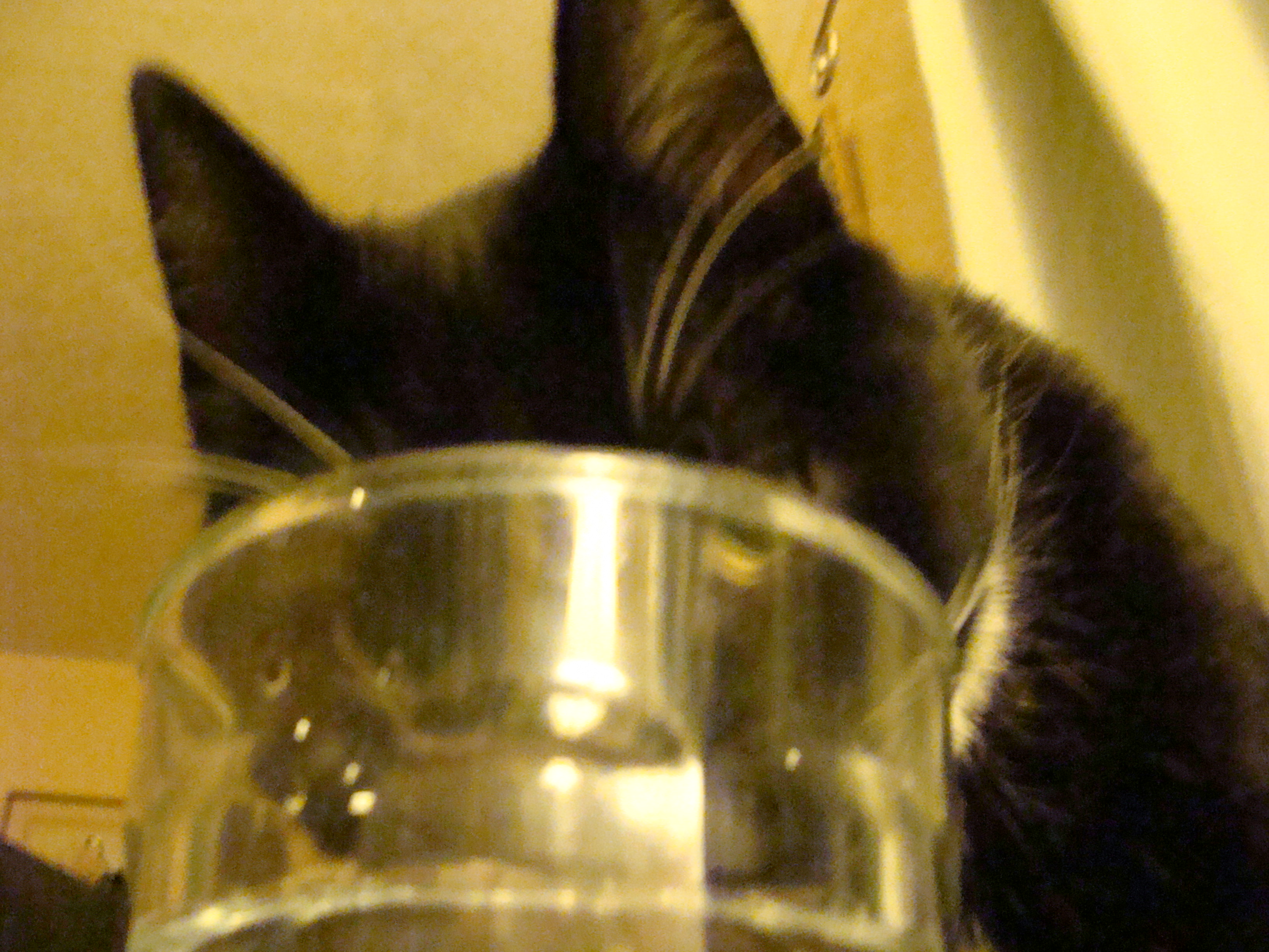 He will only drink from a glass.
