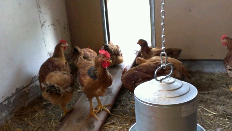 Heading out to work after breakfast