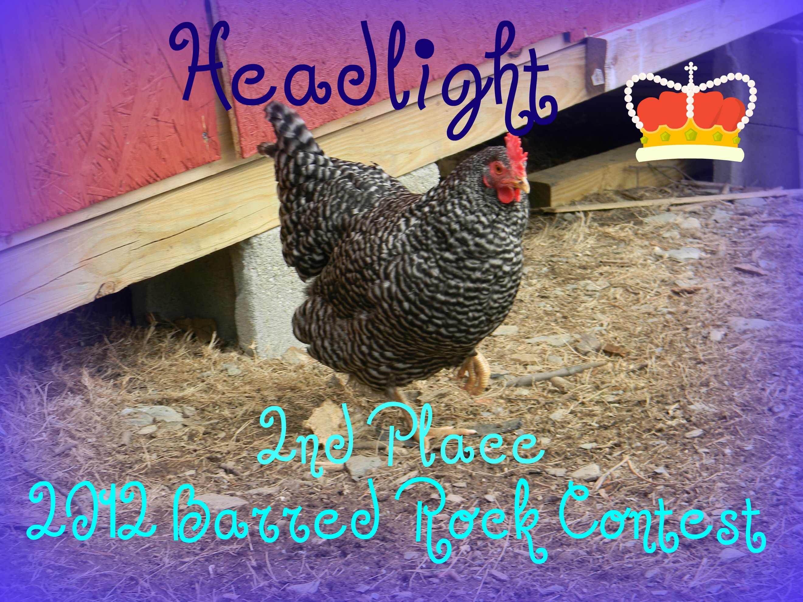 headlight2.jpg