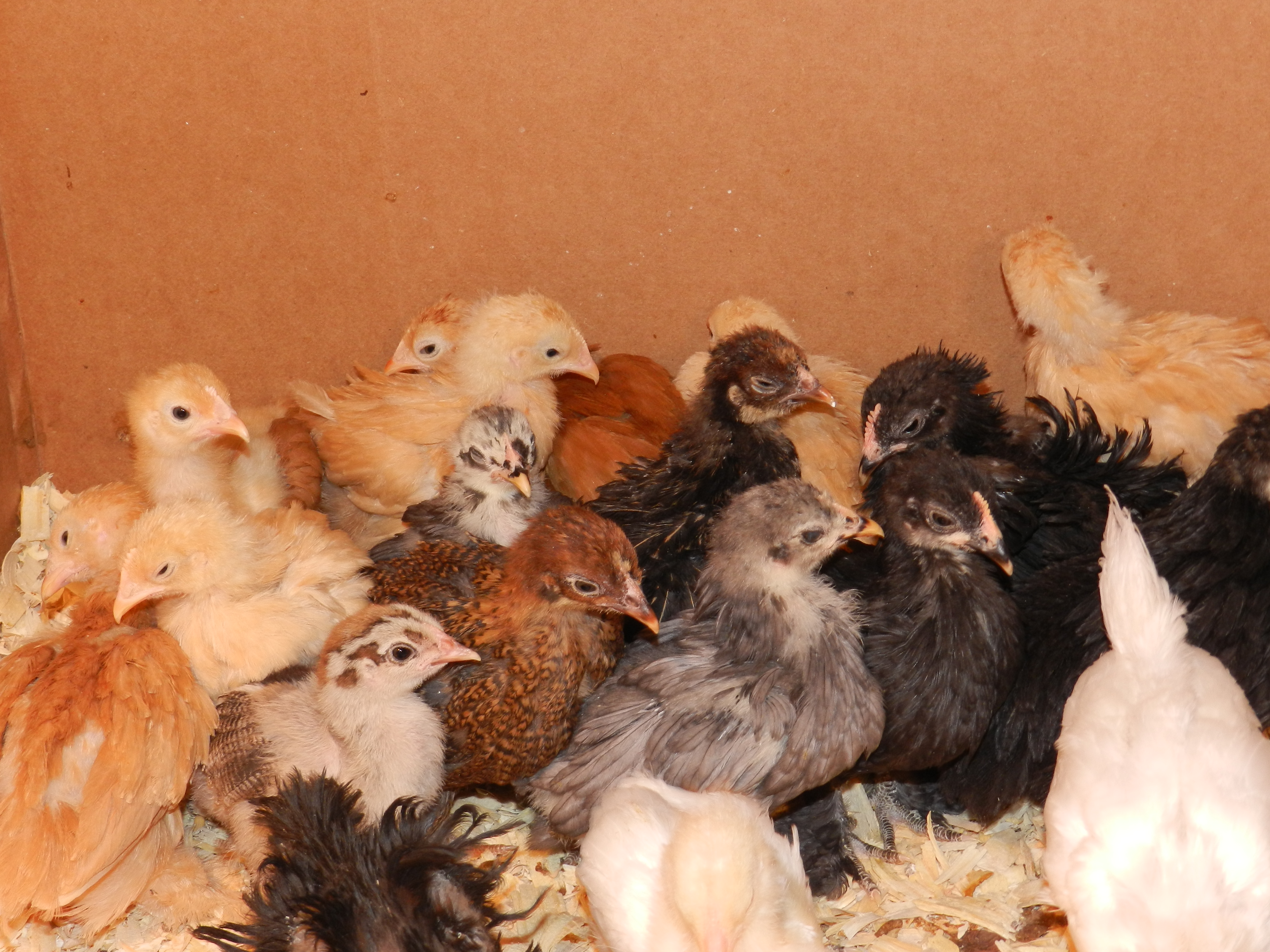 Heads up here comes the camera