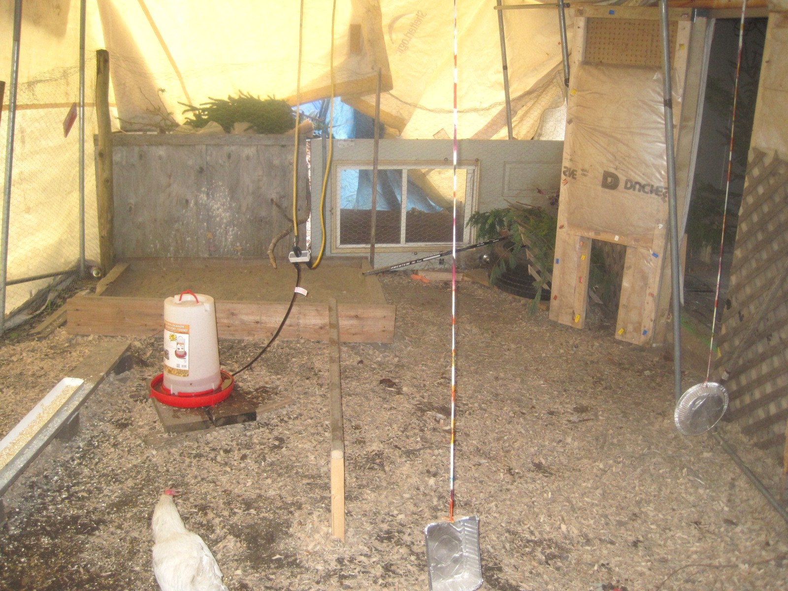 heated water dish, sand box, some toys and behind the doors is a cachet for my mommas