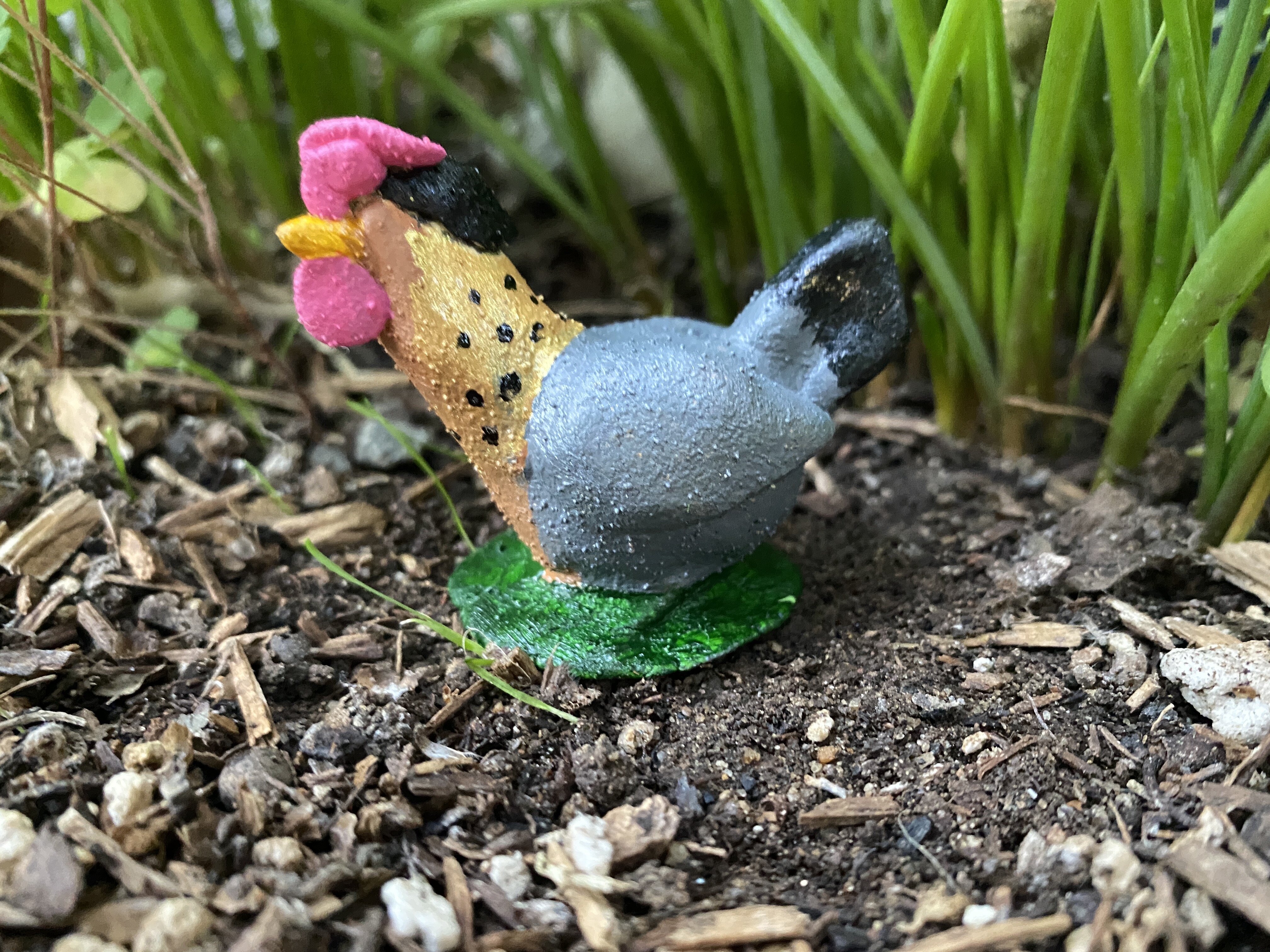 Hei Hei, a cream legbar hen.