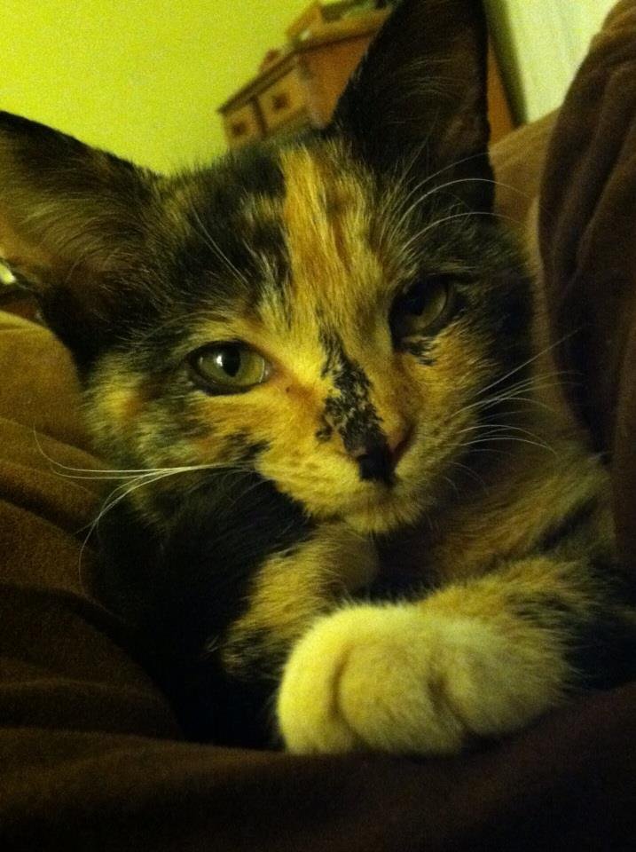 Hello Mama! Tucker here :+)