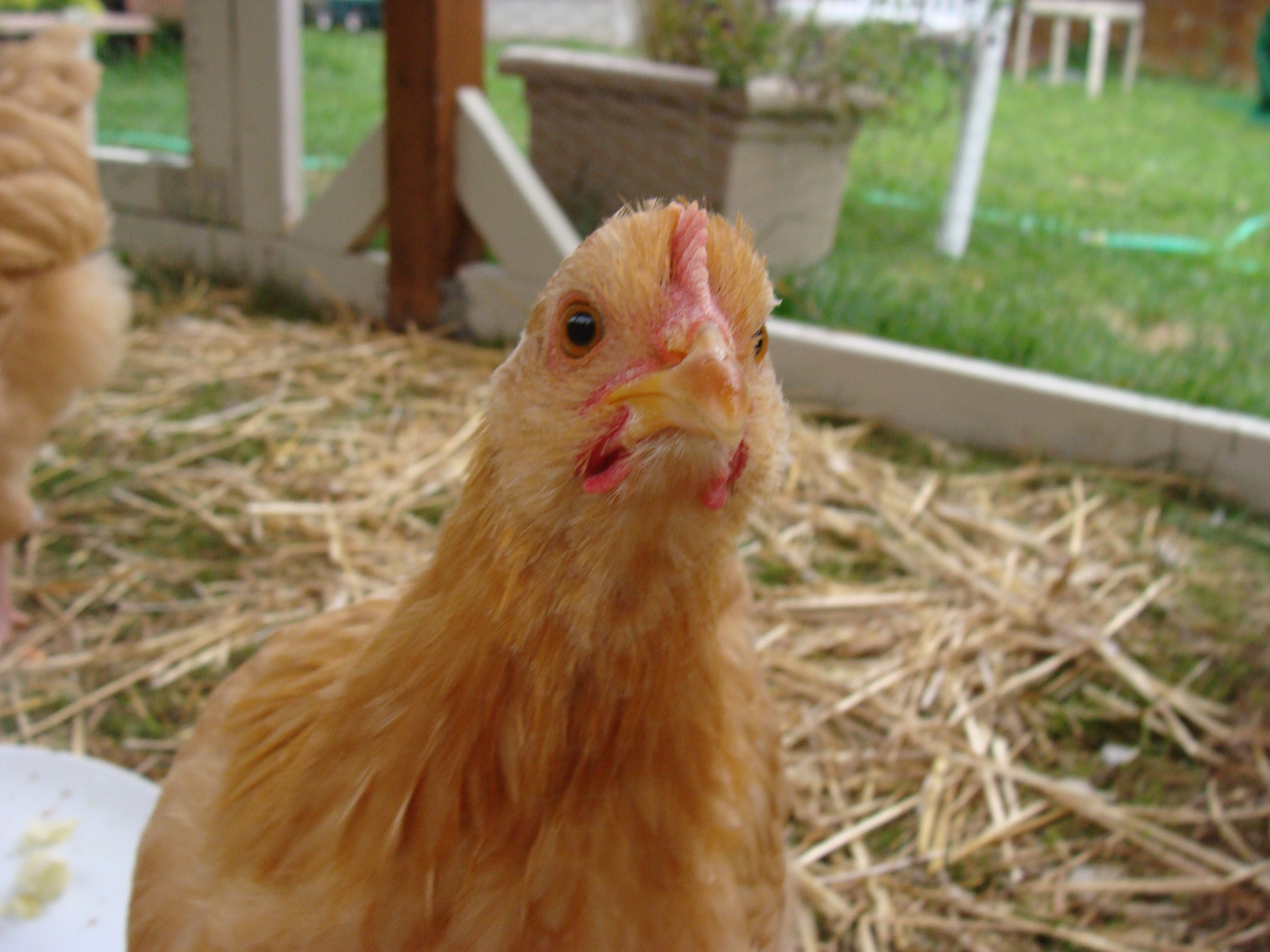 Hello,my name is Gerty.