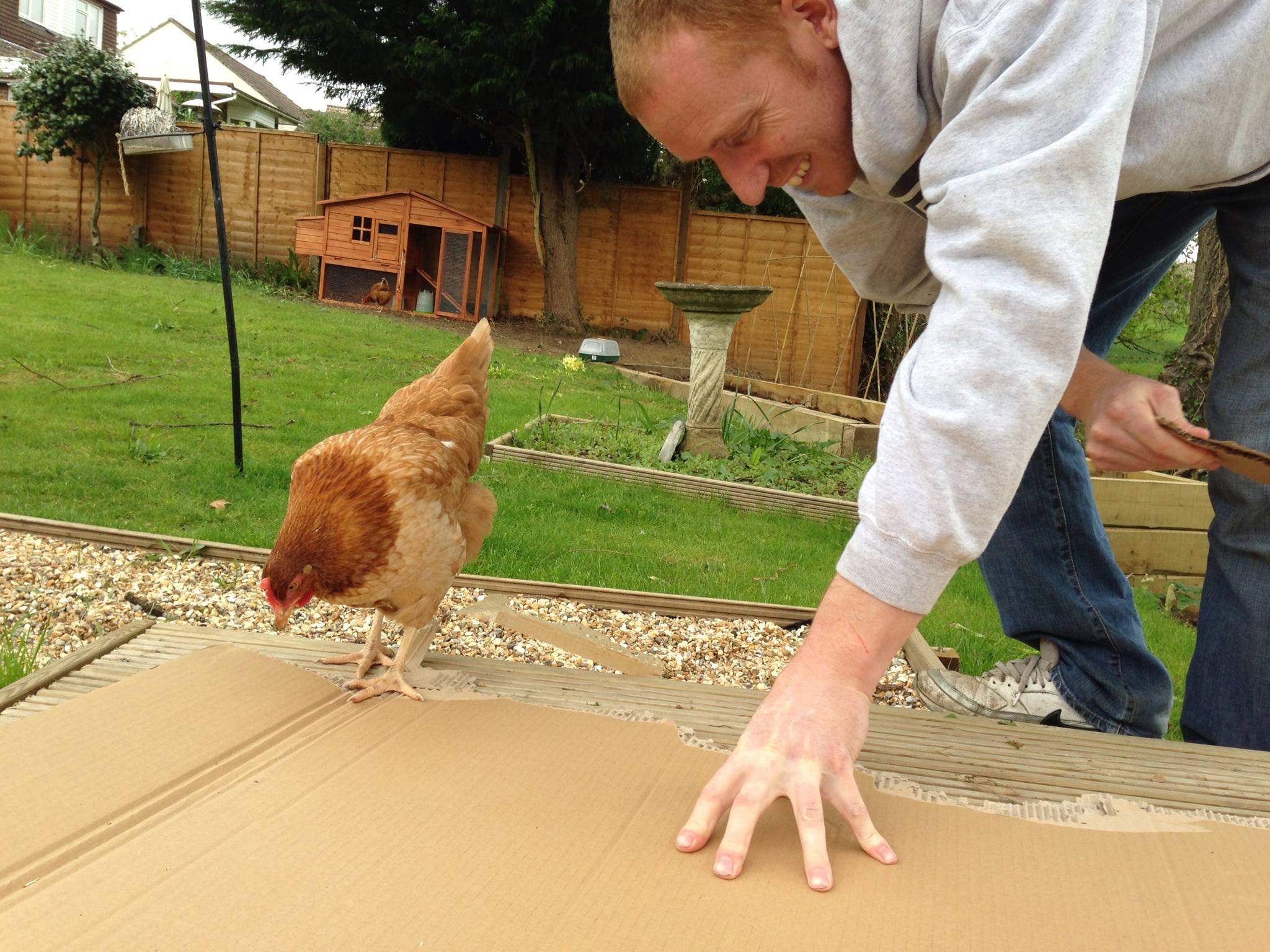 Helping rip some cardboard!