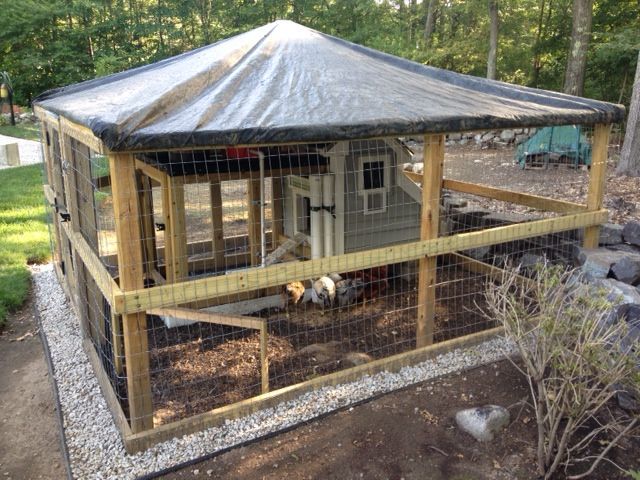 Hen house is completed