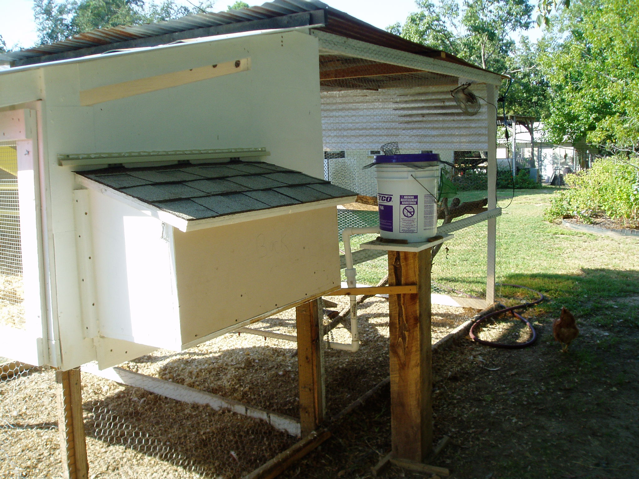 Hen house Northwest side with the automatic waterer