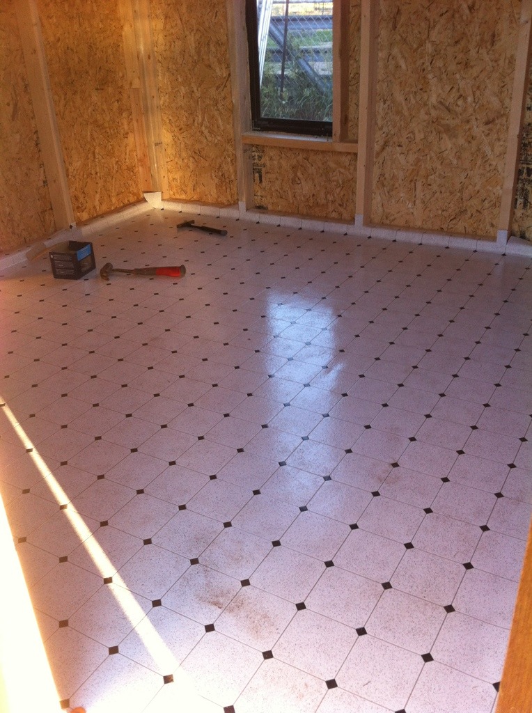 henhouse floor