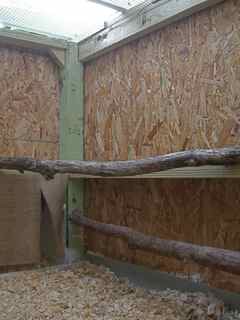 Henhouse Interior