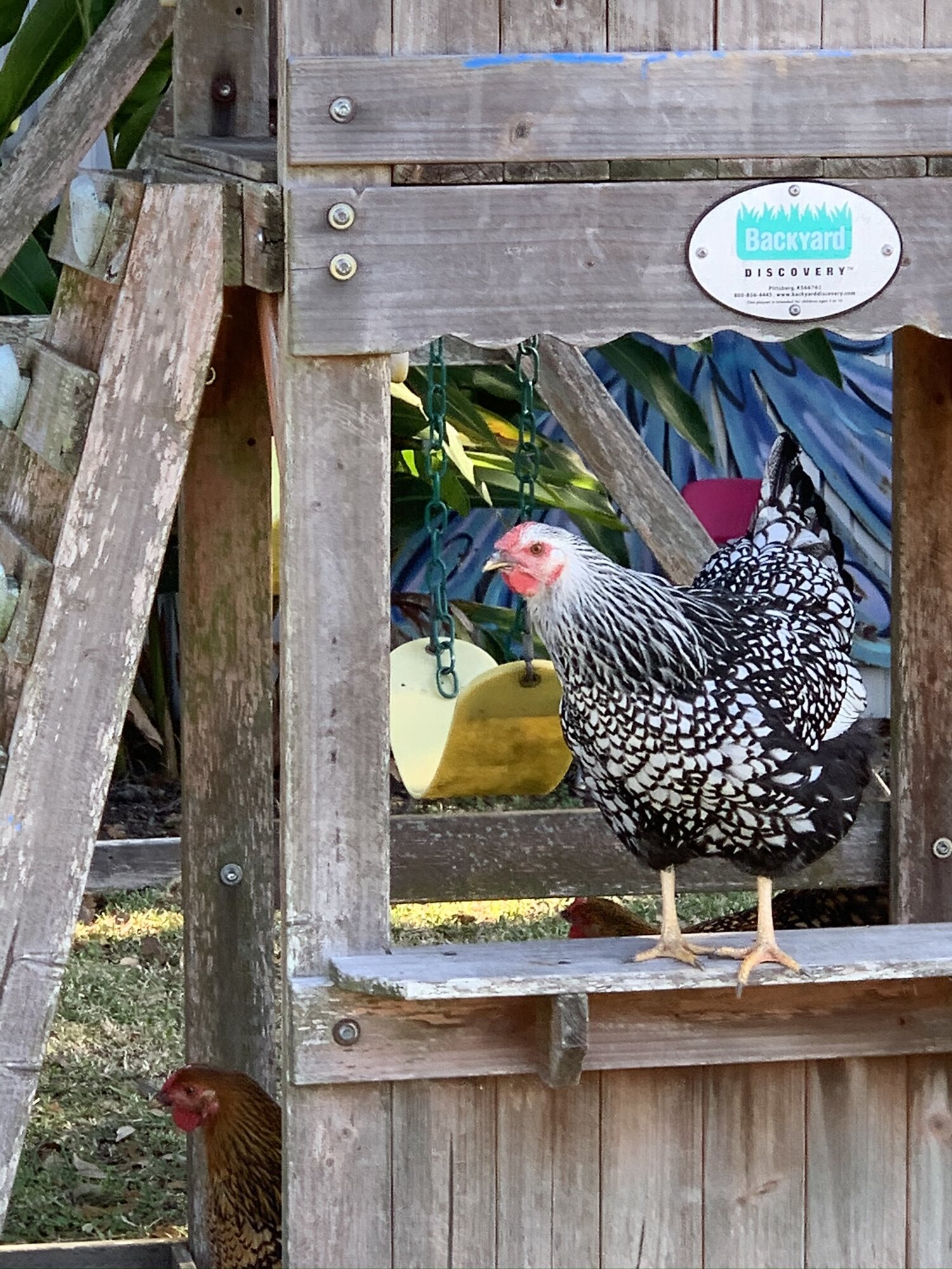 Henrietta