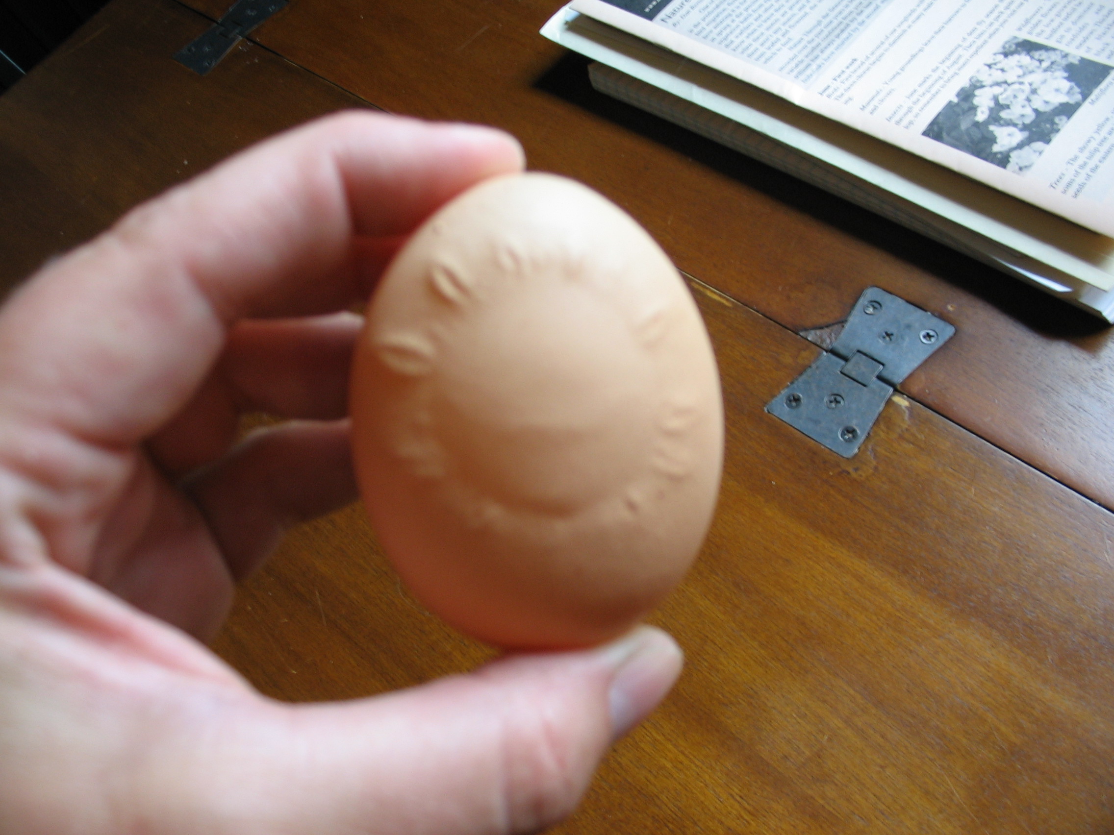 Henrietta's unusual "Good Morning Sunshine!" egg...I ended up gently blowing the white and yolk out and saved the shell :)