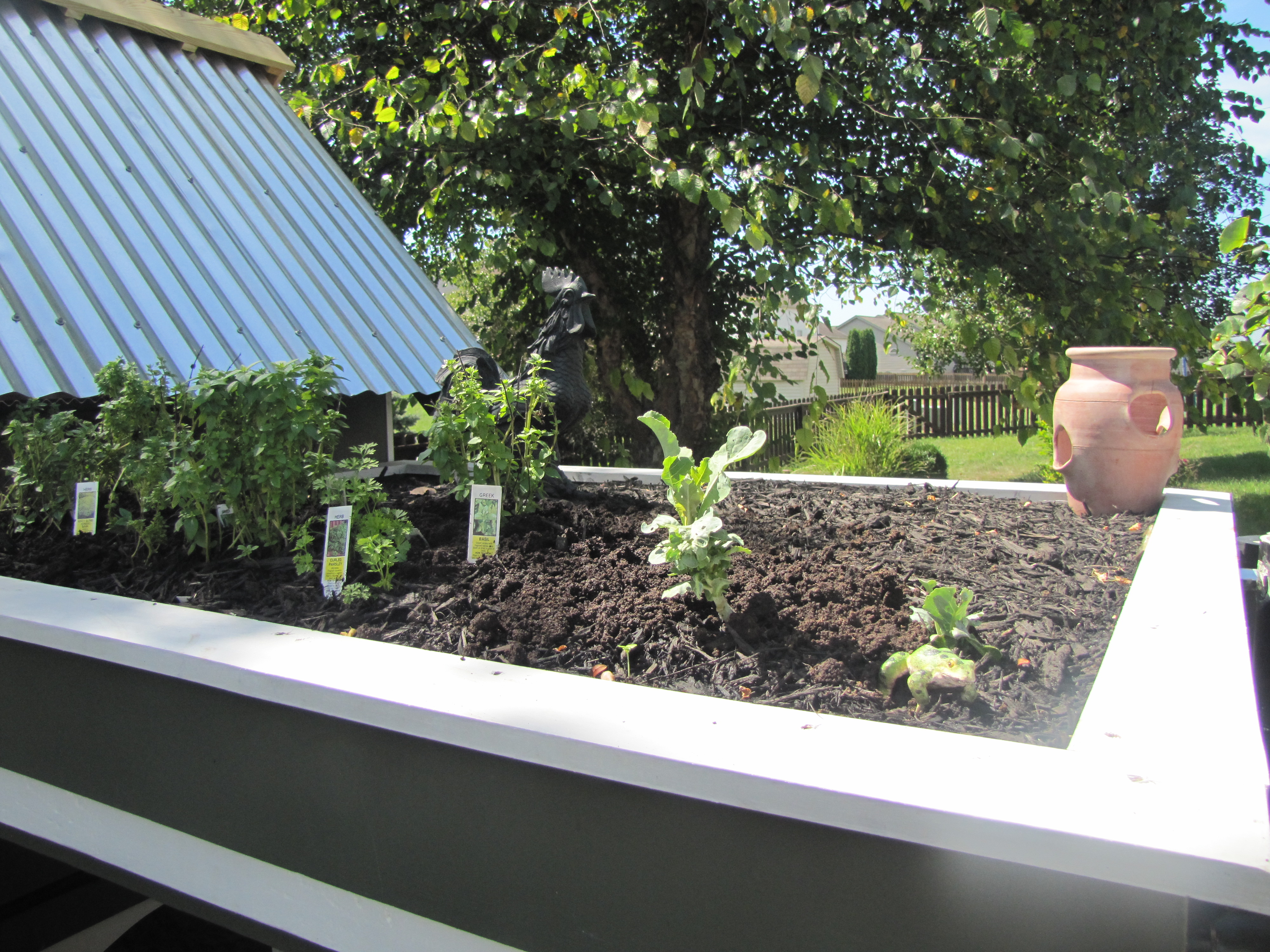 Herb Garden - reduces heat inside the enclosure and provides fresh greens for the chickens and the family.