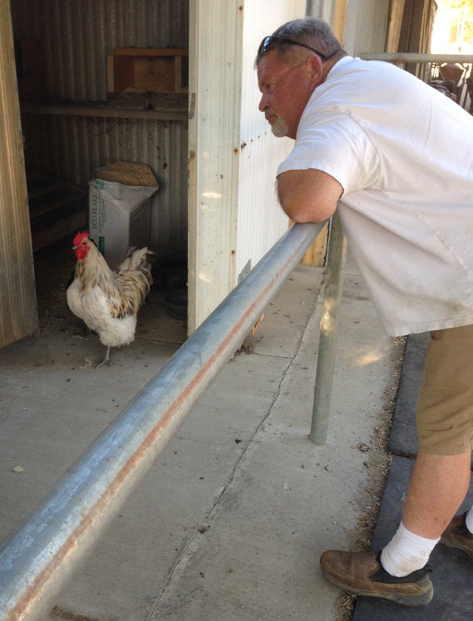 Hercules & my dad bonding