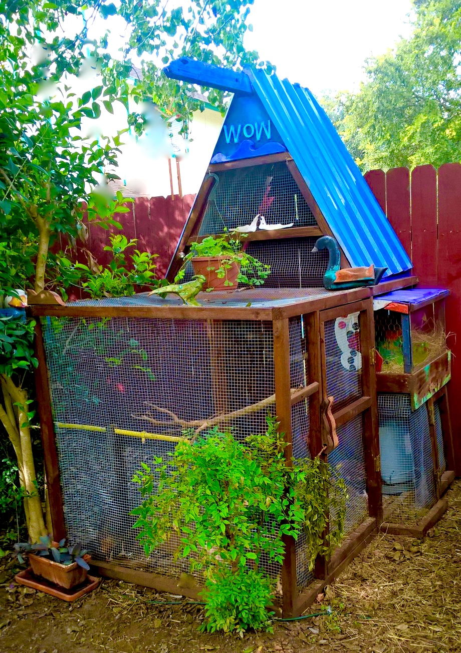 Here are 7 pictures I wanted to enter into the coop contest but have not been able to.