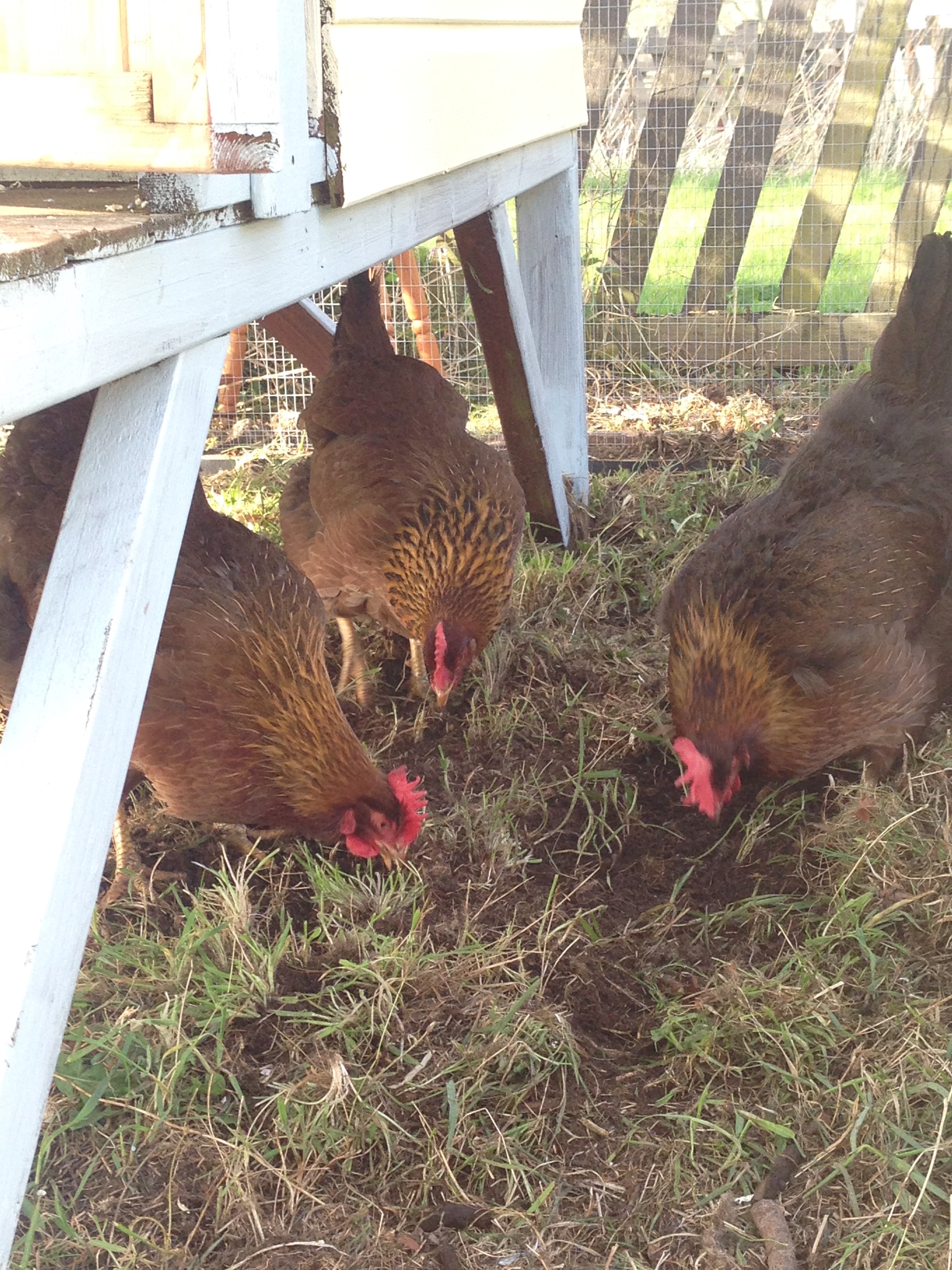 Here are Merida, Betsy and Professor Umbridge
