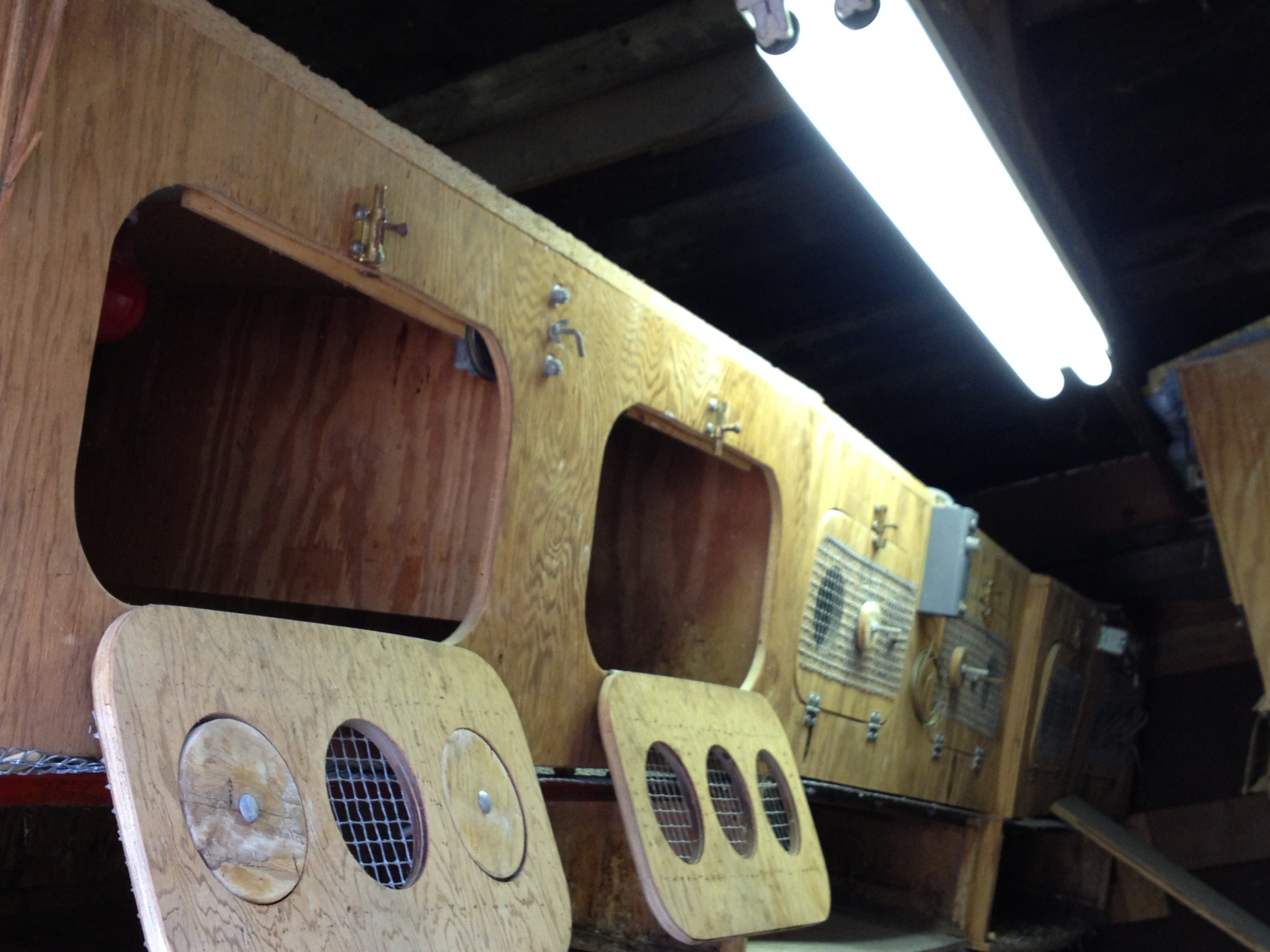 Here is a pic of the brooders after some cleaning. I've run electricity to this building so I can have lights (florescent light in pic) and electric inside the brooders for heat lamp and red lights. There are six brooder "compartments" along the left wall and two more along the right wall.
