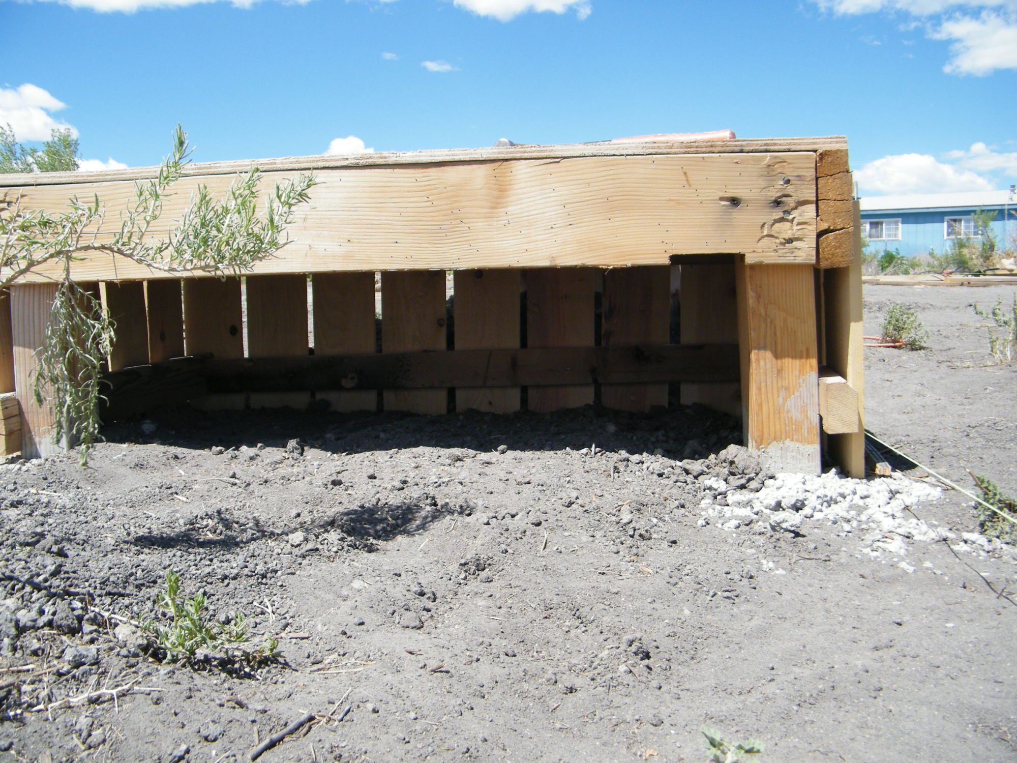 Here is a shot showing the shady portion where the spare rooster at the east end will be able to lounge and stay semi-cool in the summer.