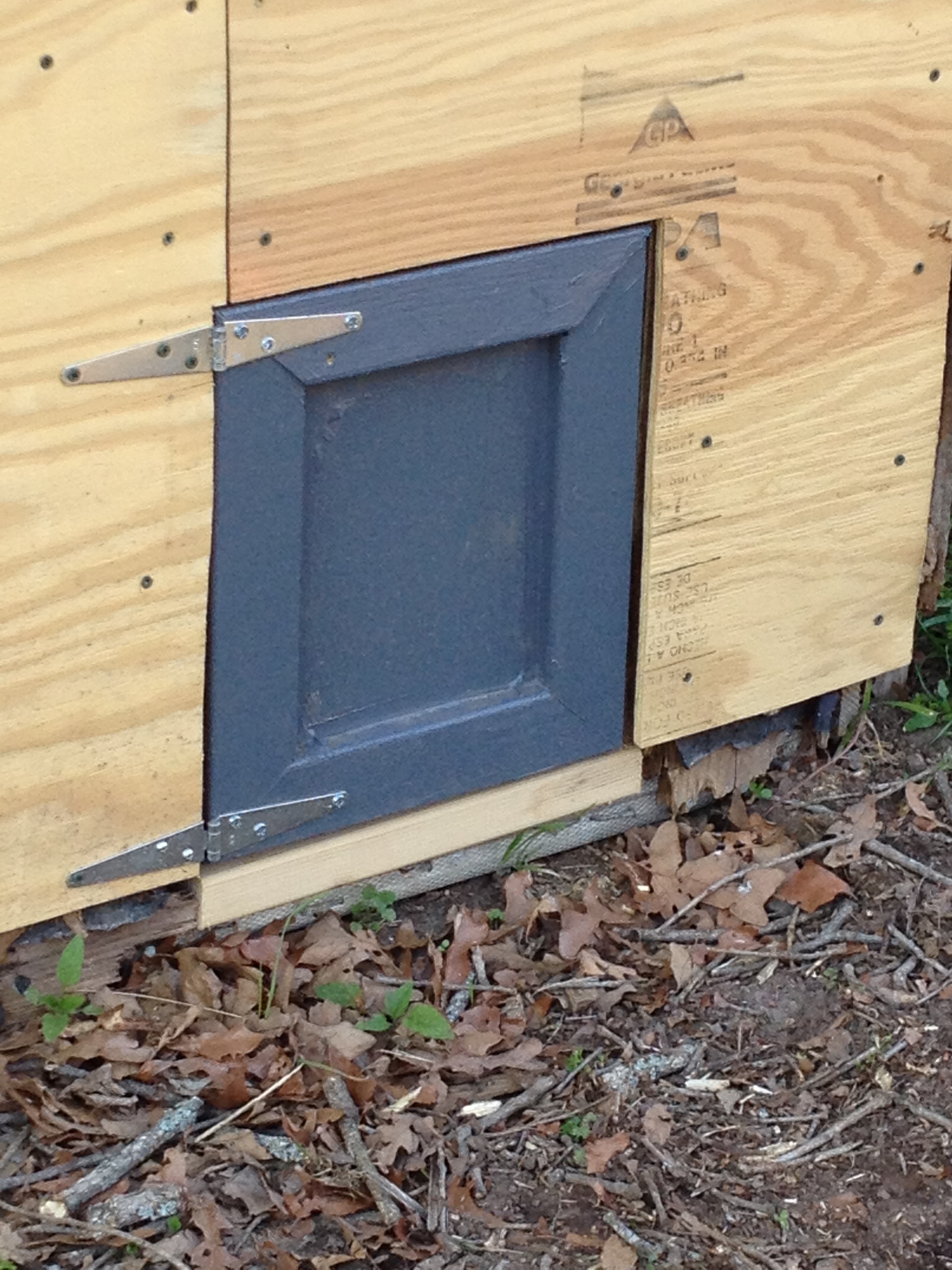 Here is another repair. The chicken door was rotted, as was the frame and much of the bottom 24" of the siding. It was still structurally good, but lacks a certain "curb appeal." The door will have a bolt on the outside and it will open directly into their run.