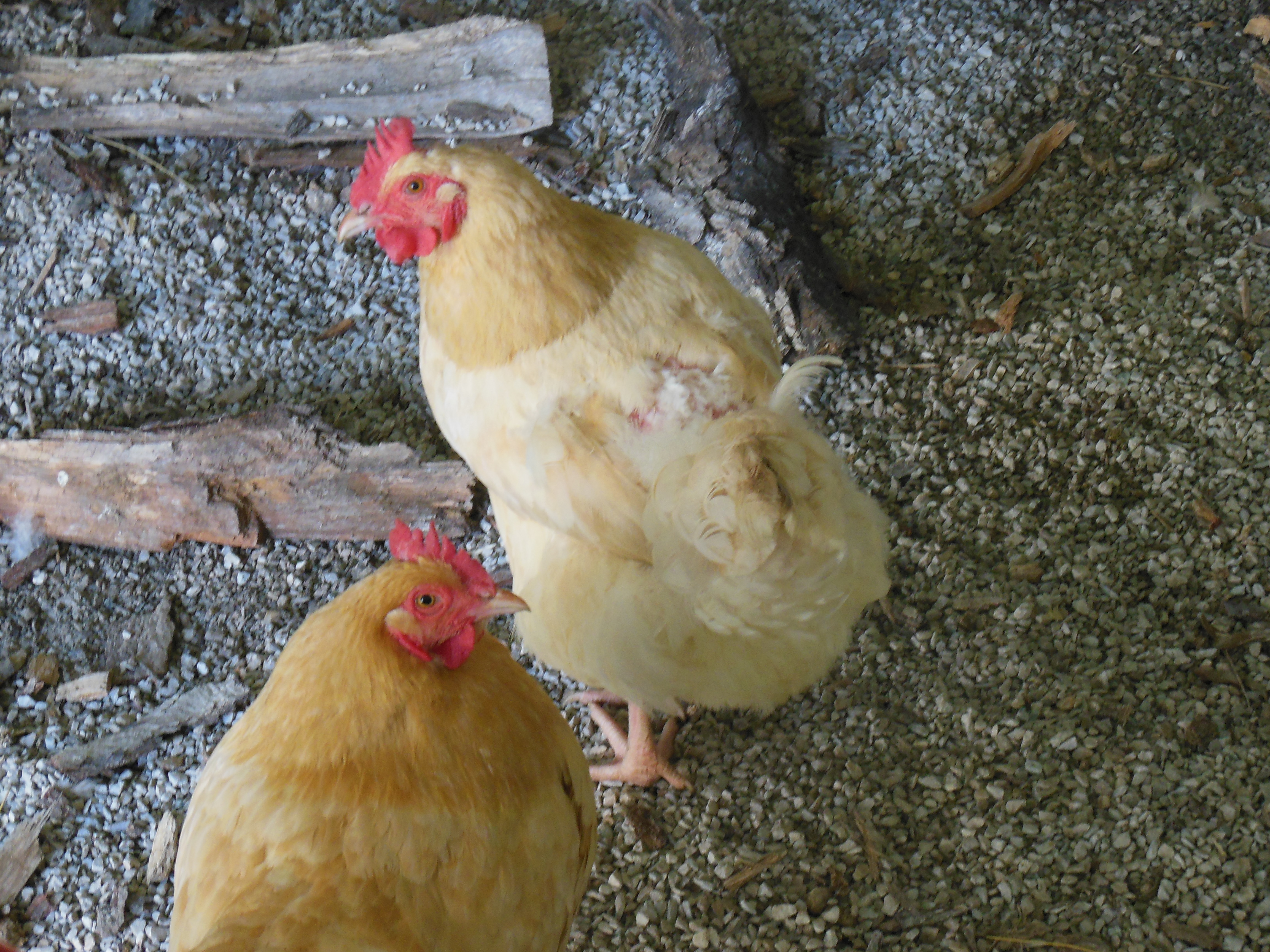 Here is May and Sandy