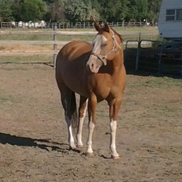 Here is Miss Dee last summer :-)