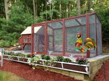 Here is my coop , all set to go. Now I'm just waiting for the girls to be old enough to go in! We are not allowed any rosters in the town of Huntington, so note my roster garding his future flock!