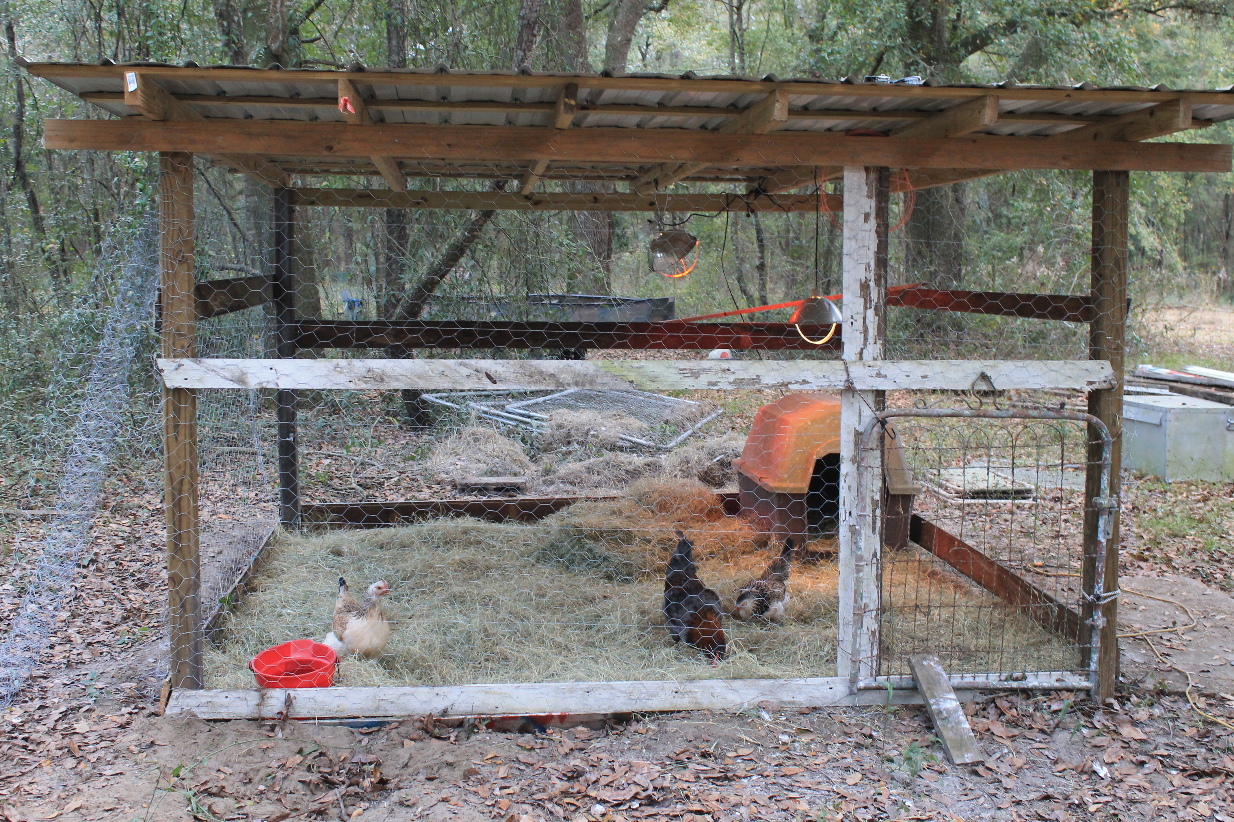 Here is out night pen, before it was finished.